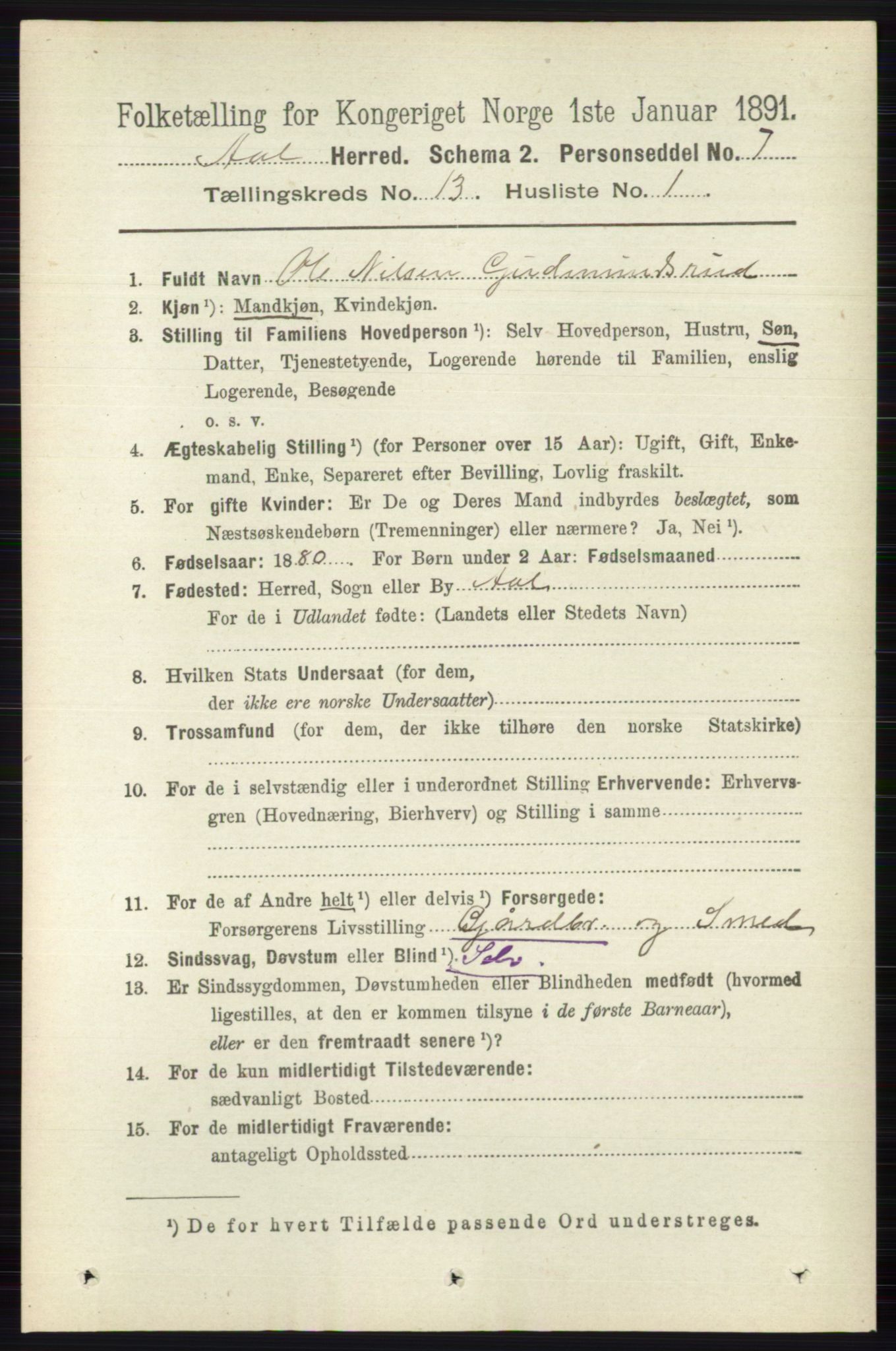 RA, 1891 census for 0619 Ål, 1891, p. 3264