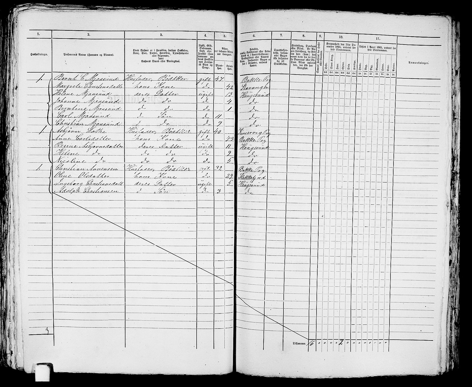 RA, 1865 census for Torvastad/Haugesund, 1865, p. 417