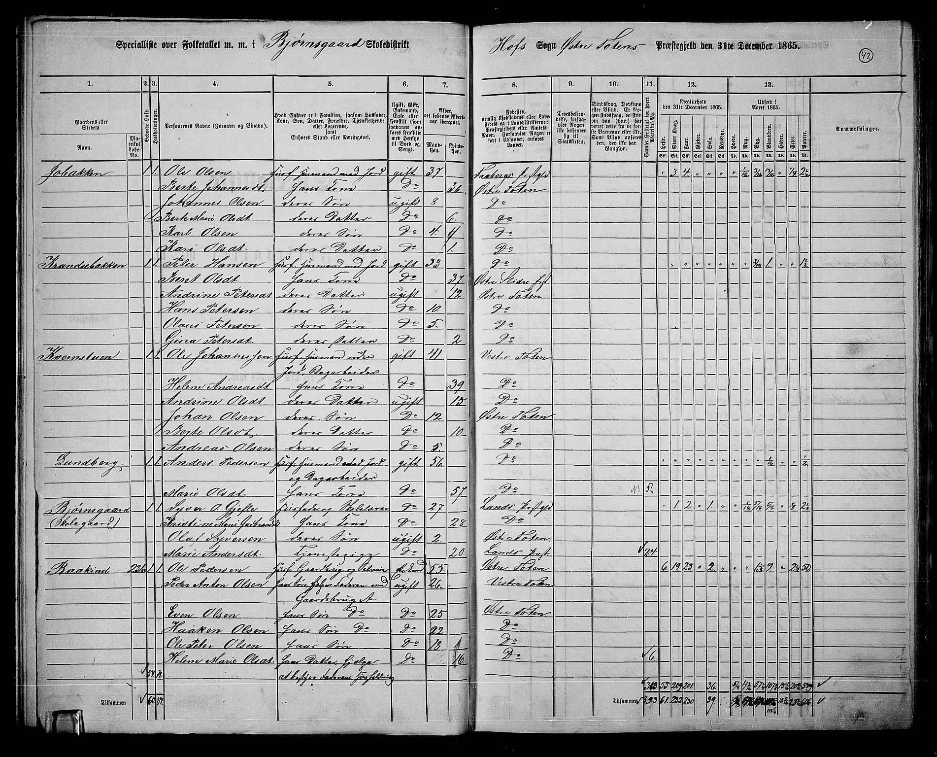 RA, 1865 census for Østre Toten, 1865, p. 171