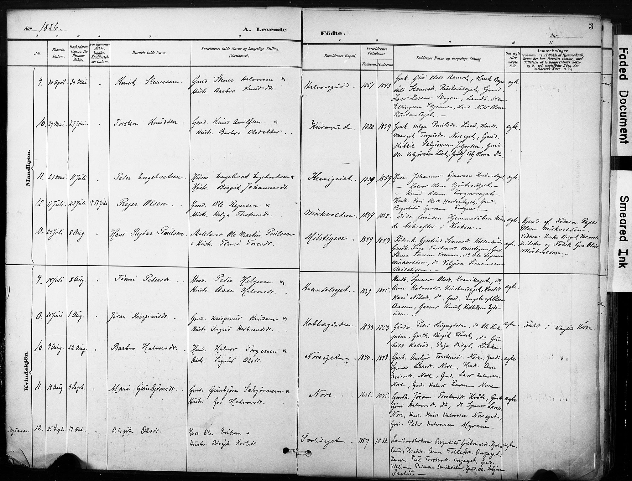 Nore kirkebøker, AV/SAKO-A-238/F/Fb/L0002: Parish register (official) no. II 2, 1886-1906, p. 3