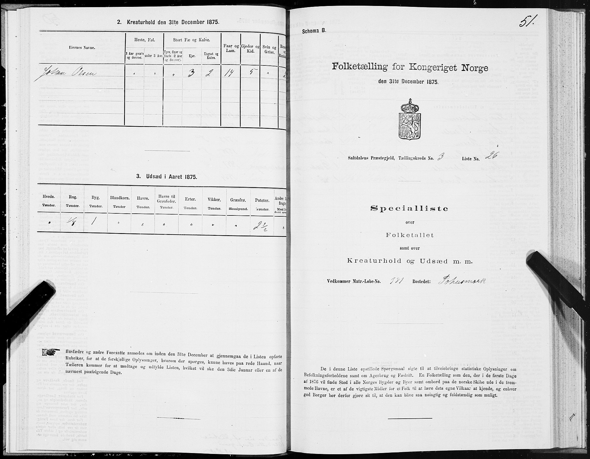 SAT, 1875 census for 1840P Saltdal, 1875, p. 2051