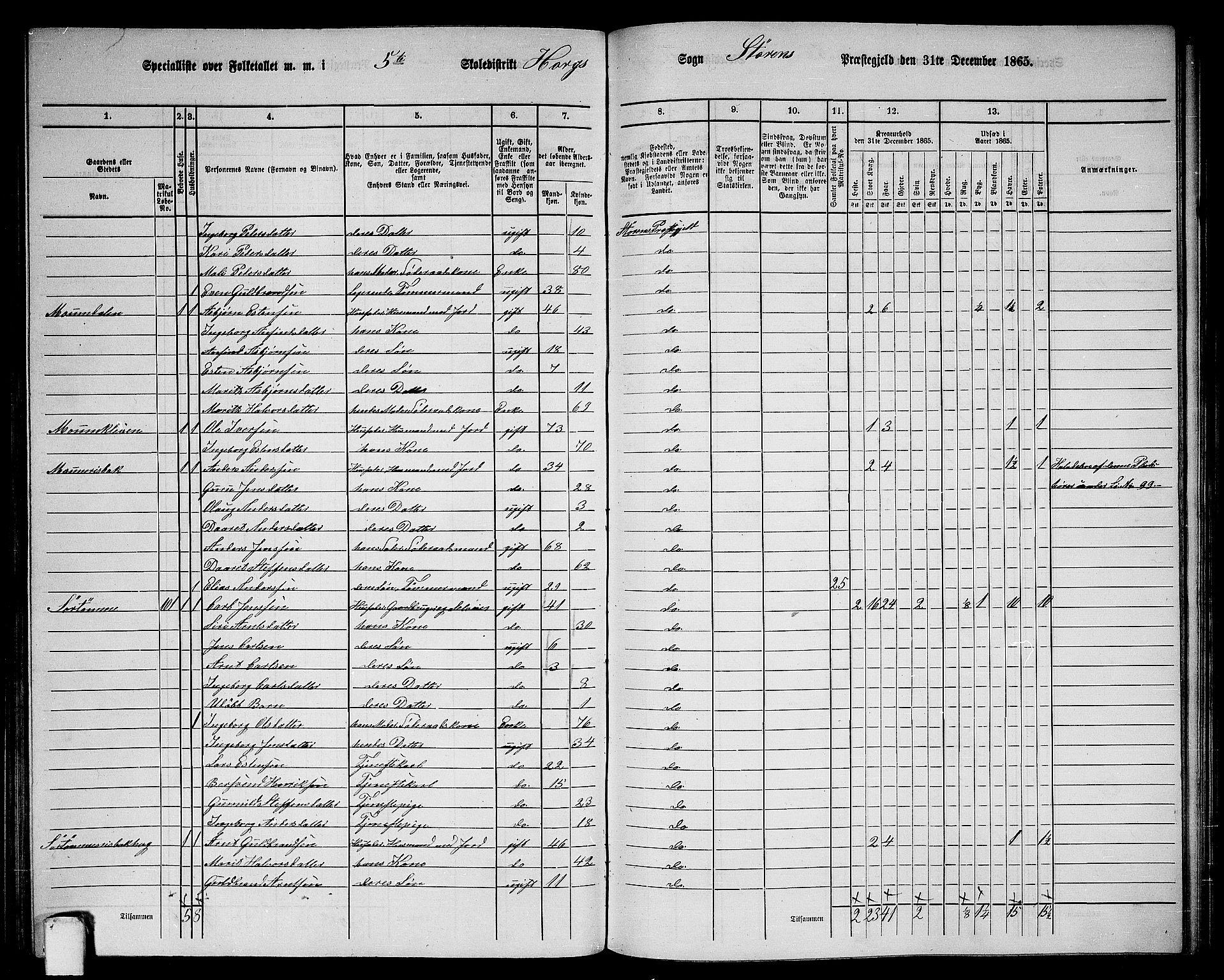 RA, 1865 census for Støren, 1865, p. 185