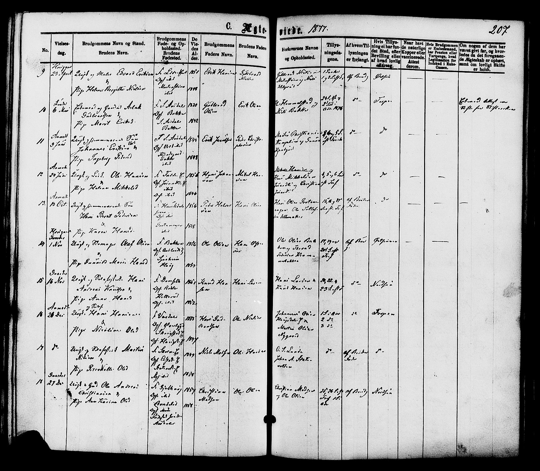 Nordre Land prestekontor, AV/SAH-PREST-124/H/Ha/Haa/L0002: Parish register (official) no. 2, 1872-1881, p. 207