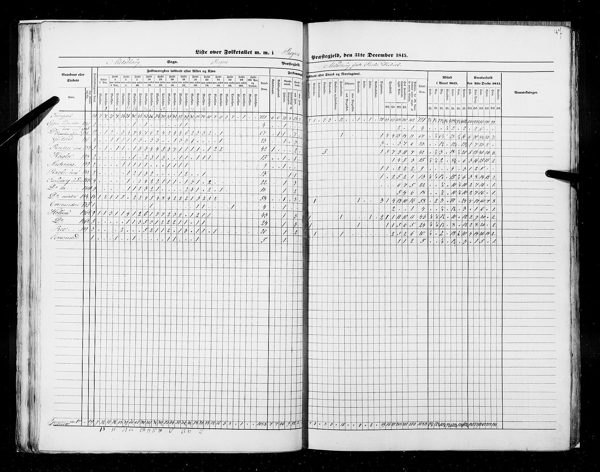 RA, Census 1845, vol. 9A: Nordre Trondhjems amt, 1845, p. 47