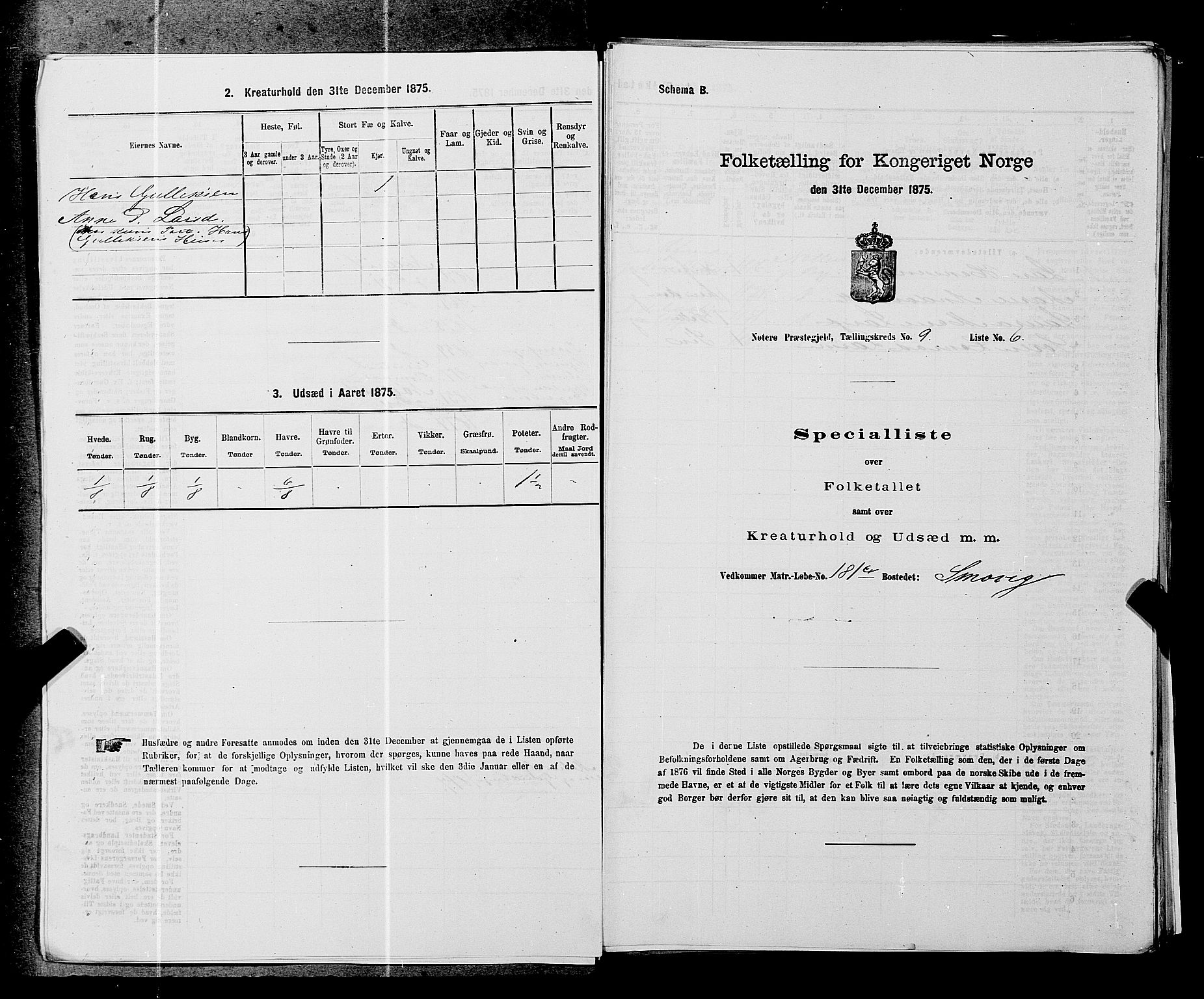 SAKO, 1875 census for 0722P Nøtterøy, 1875, p. 1745