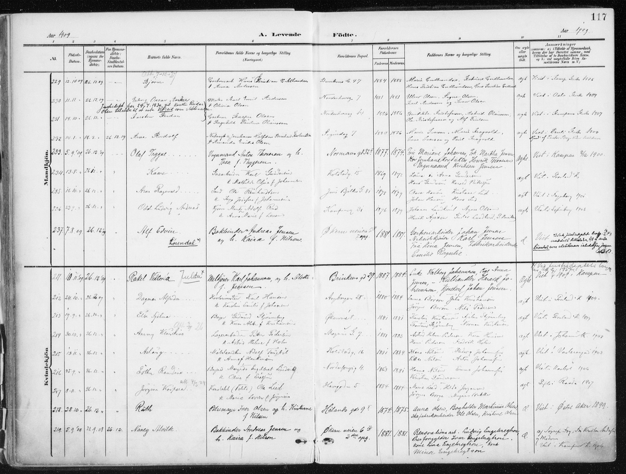 Kampen prestekontor Kirkebøker, AV/SAO-A-10853/F/Fa/L0010: Parish register (official) no. I 10, 1905-1917, p. 117