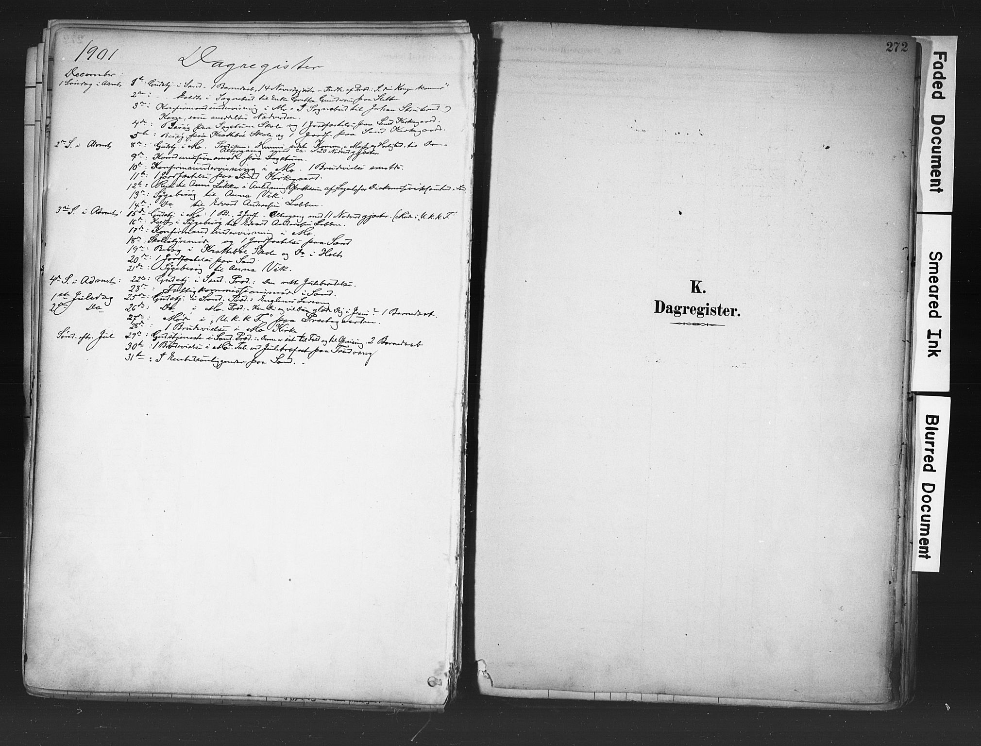 Nord-Odal prestekontor, AV/SAH-PREST-032/H/Ha/Haa/L0006: Parish register (official) no. 6, 1886-1901, p. 272