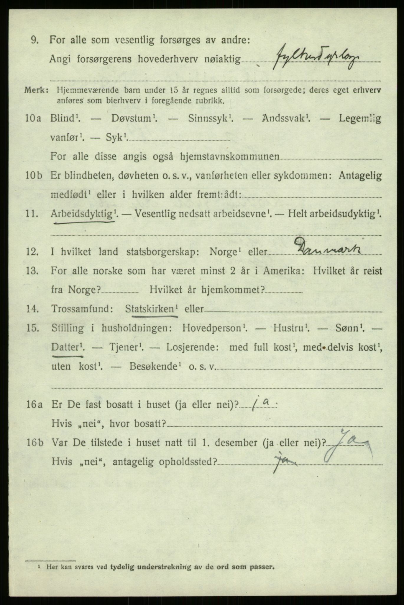 SAB, 1920 census for Hafslo, 1920, p. 6897