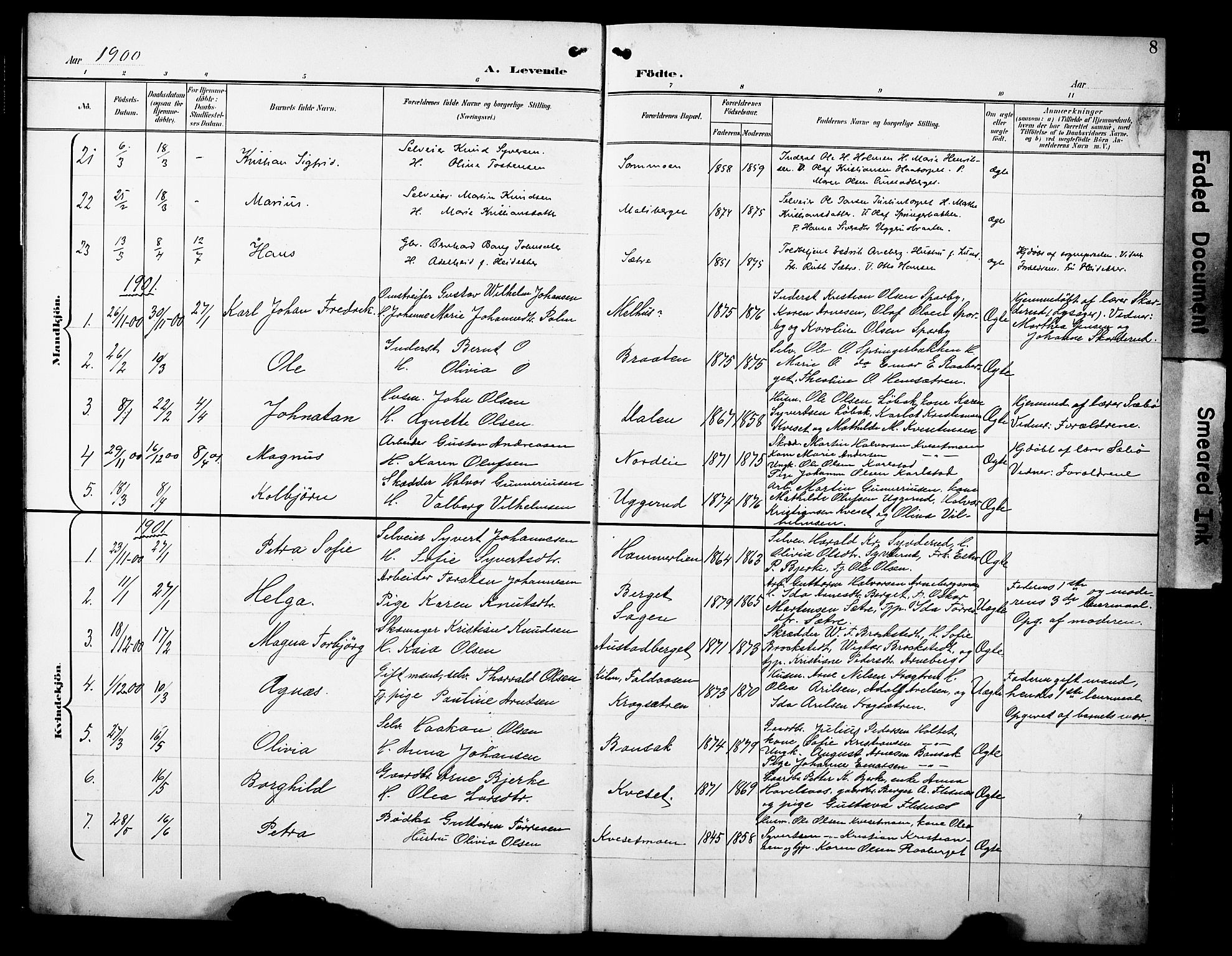 Hof prestekontor, AV/SAH-PREST-038/H/Ha/Hab/L0005: Parish register (copy) no. 5, 1899-1916, p. 8