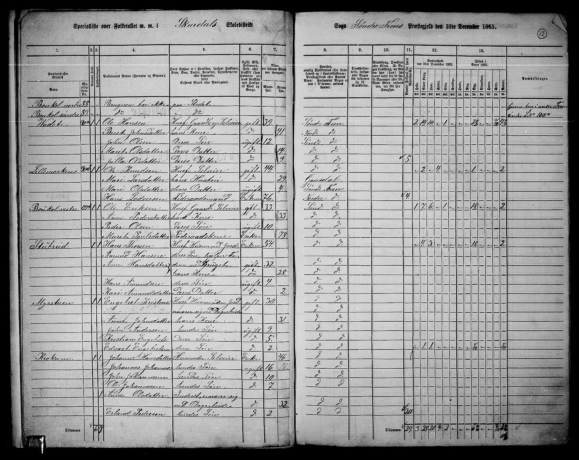 RA, 1865 census for Sør-Fron, 1865, p. 11