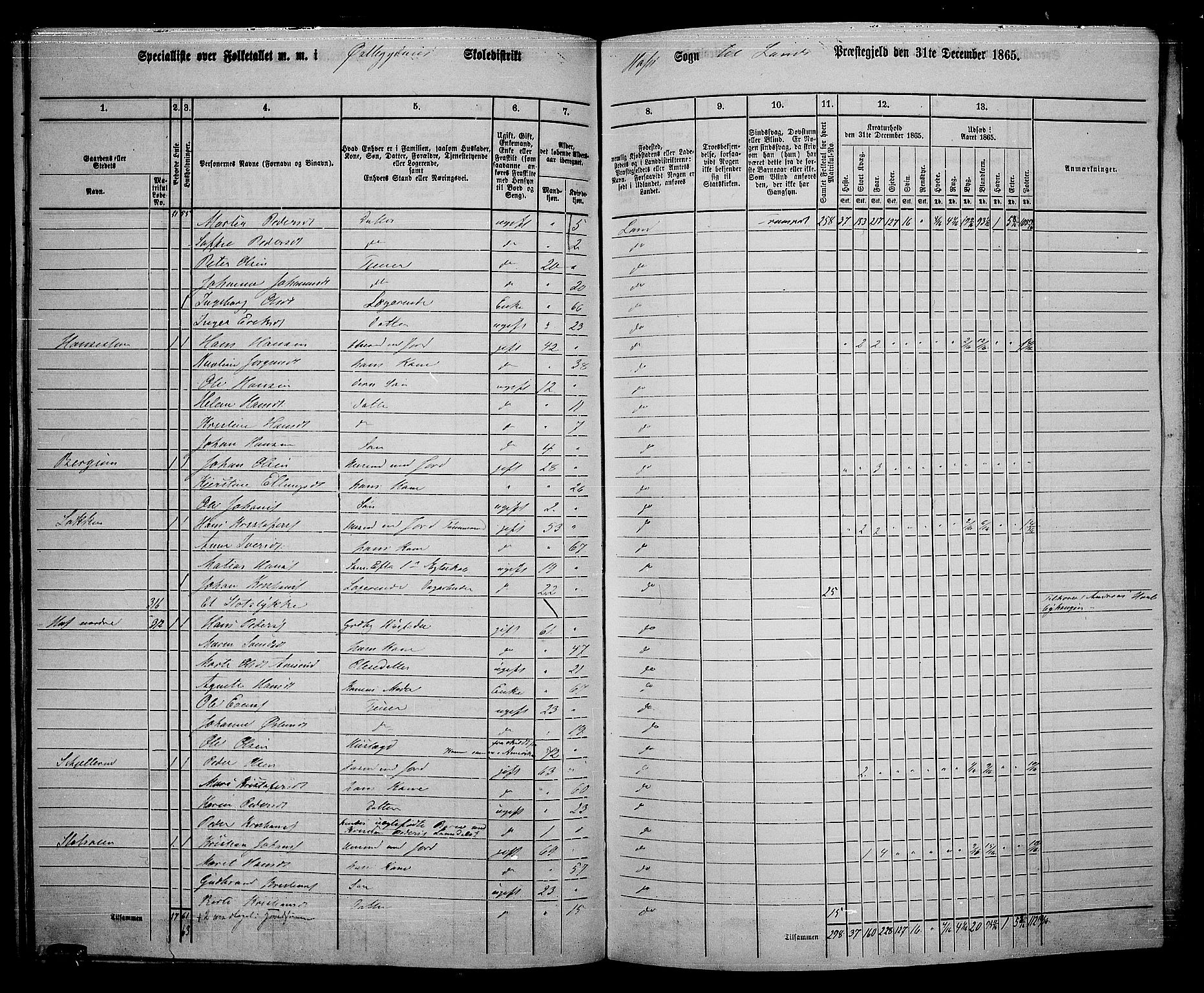 RA, 1865 census for Land, 1865, p. 338