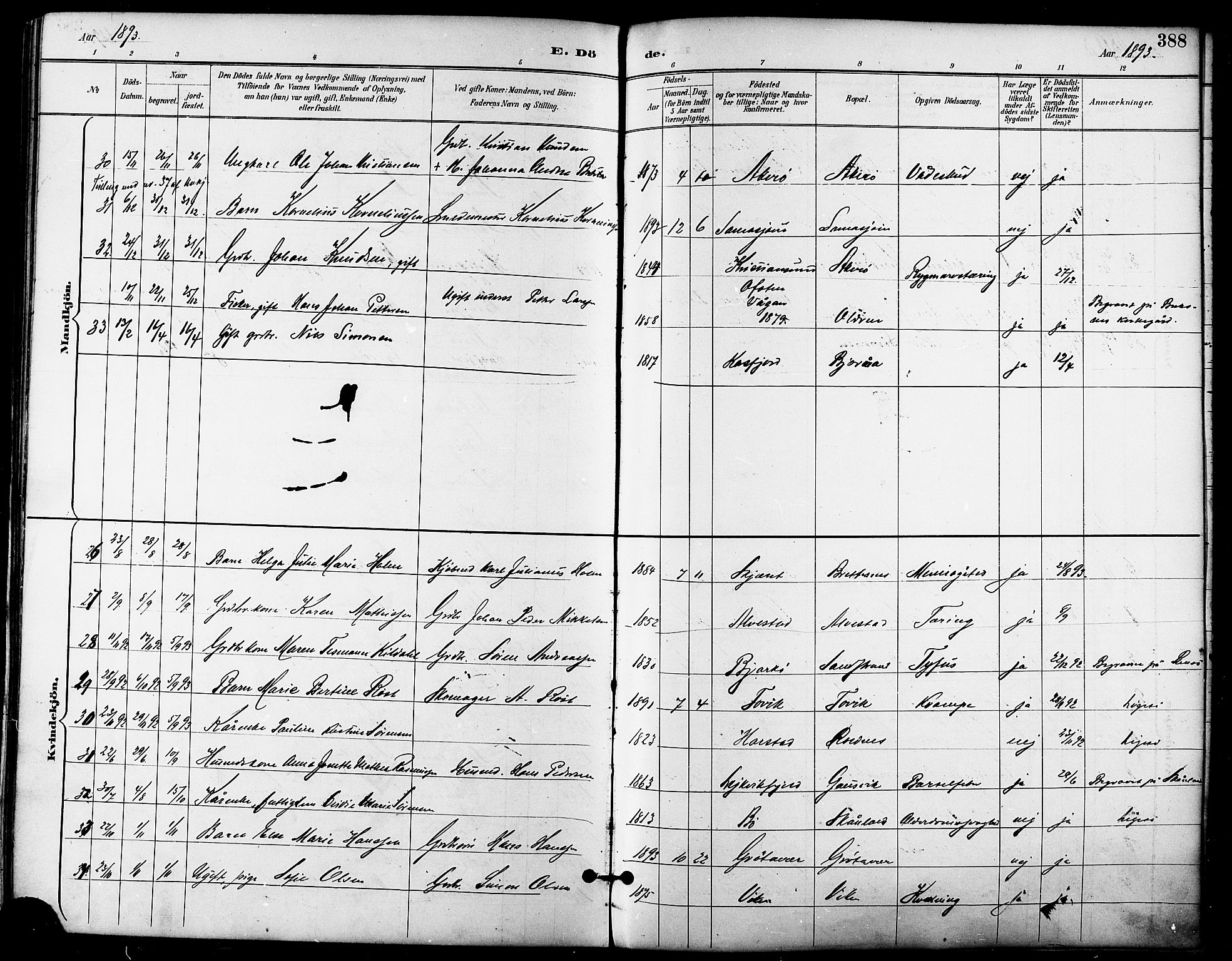 Trondenes sokneprestkontor, SATØ/S-1319/H/Ha/L0016kirke: Parish register (official) no. 16, 1890-1898, p. 388