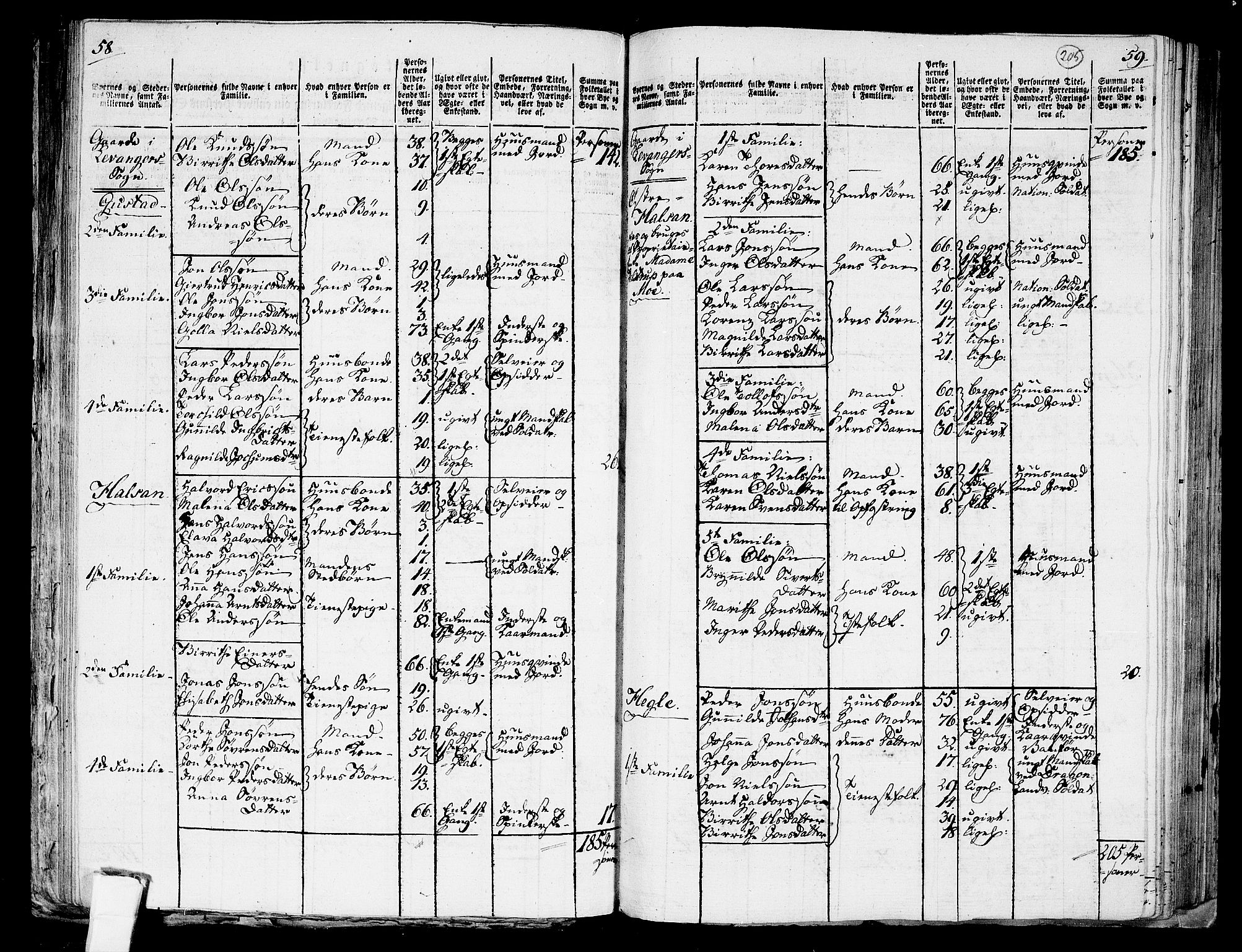 RA, 1801 census for 1719P Skogn, 1801, p. 204b-205a