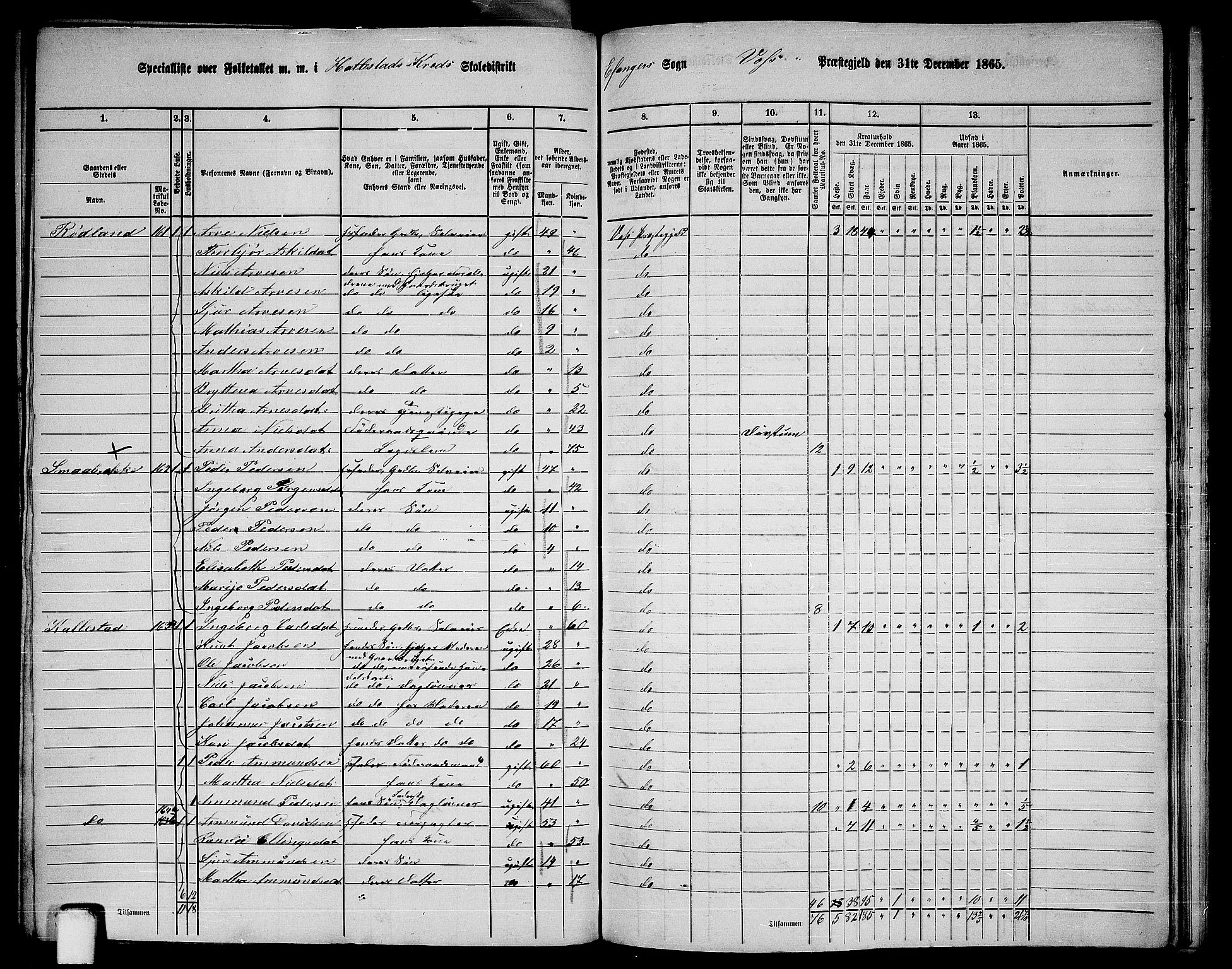 RA, 1865 census for Voss, 1865, p. 396