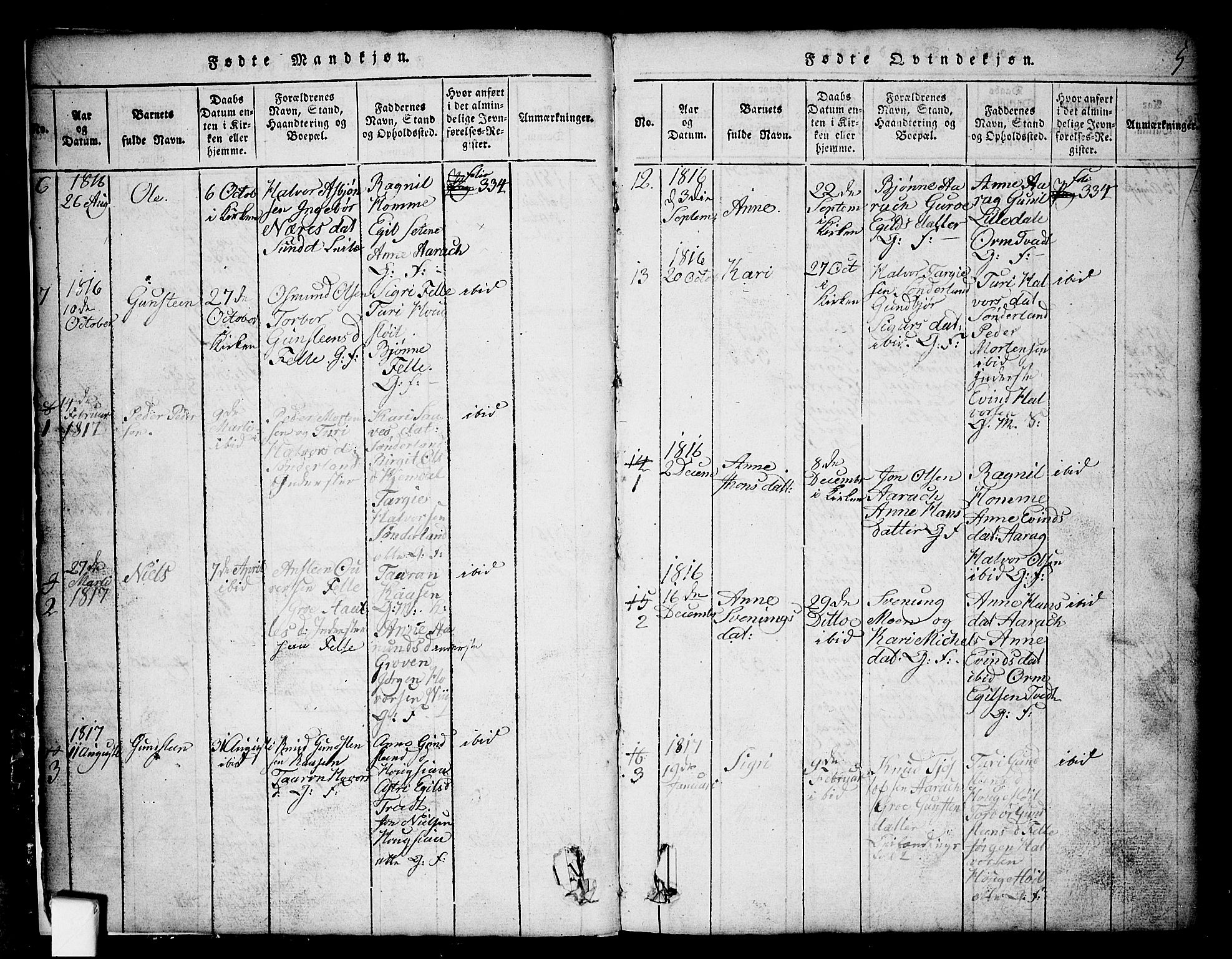 Nissedal kirkebøker, SAKO/A-288/G/Gb/L0001: Parish register (copy) no. II 1, 1814-1862, p. 5