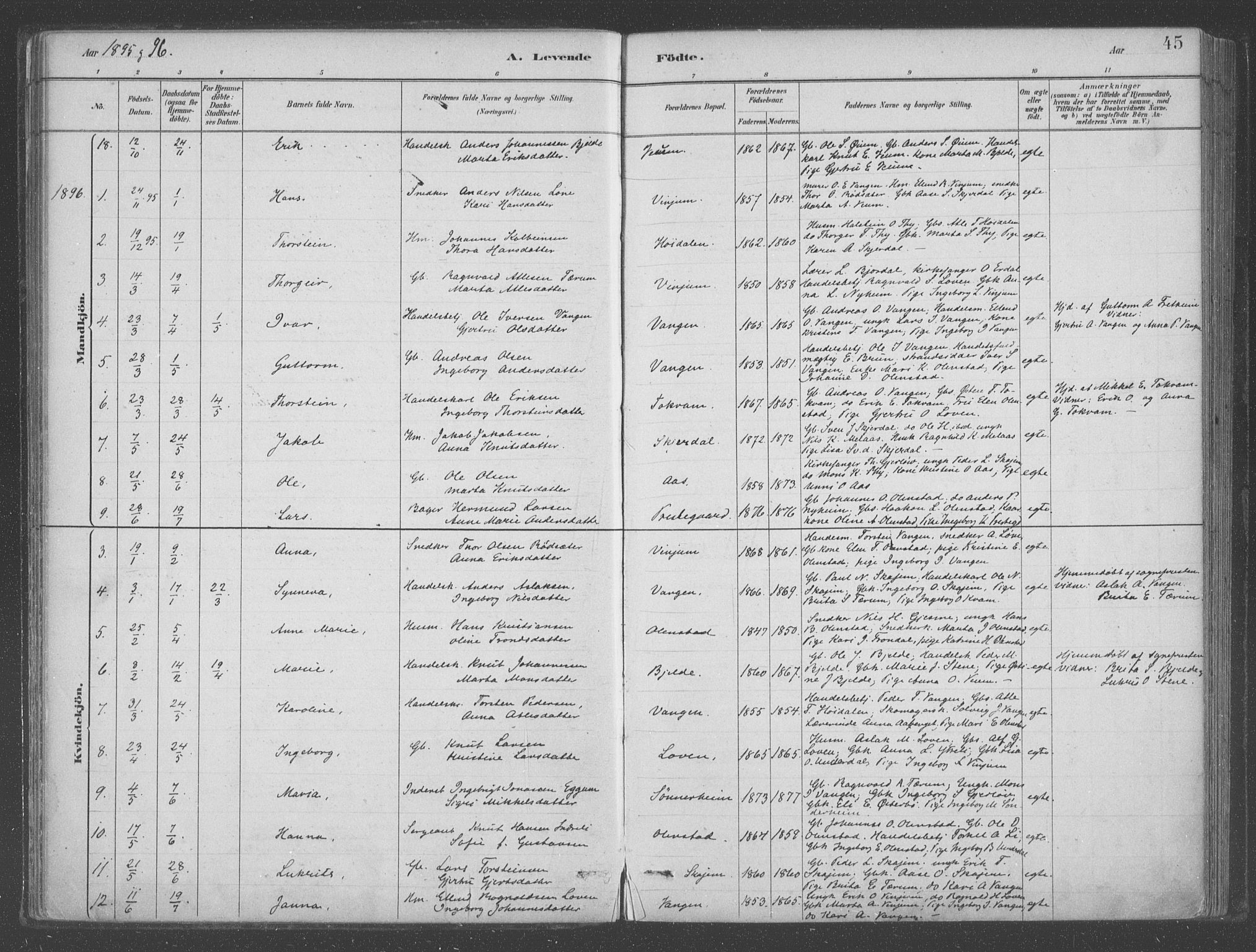 Aurland sokneprestembete, SAB/A-99937/H/Ha/Hab/L0001: Parish register (official) no. B  1, 1880-1909, p. 45