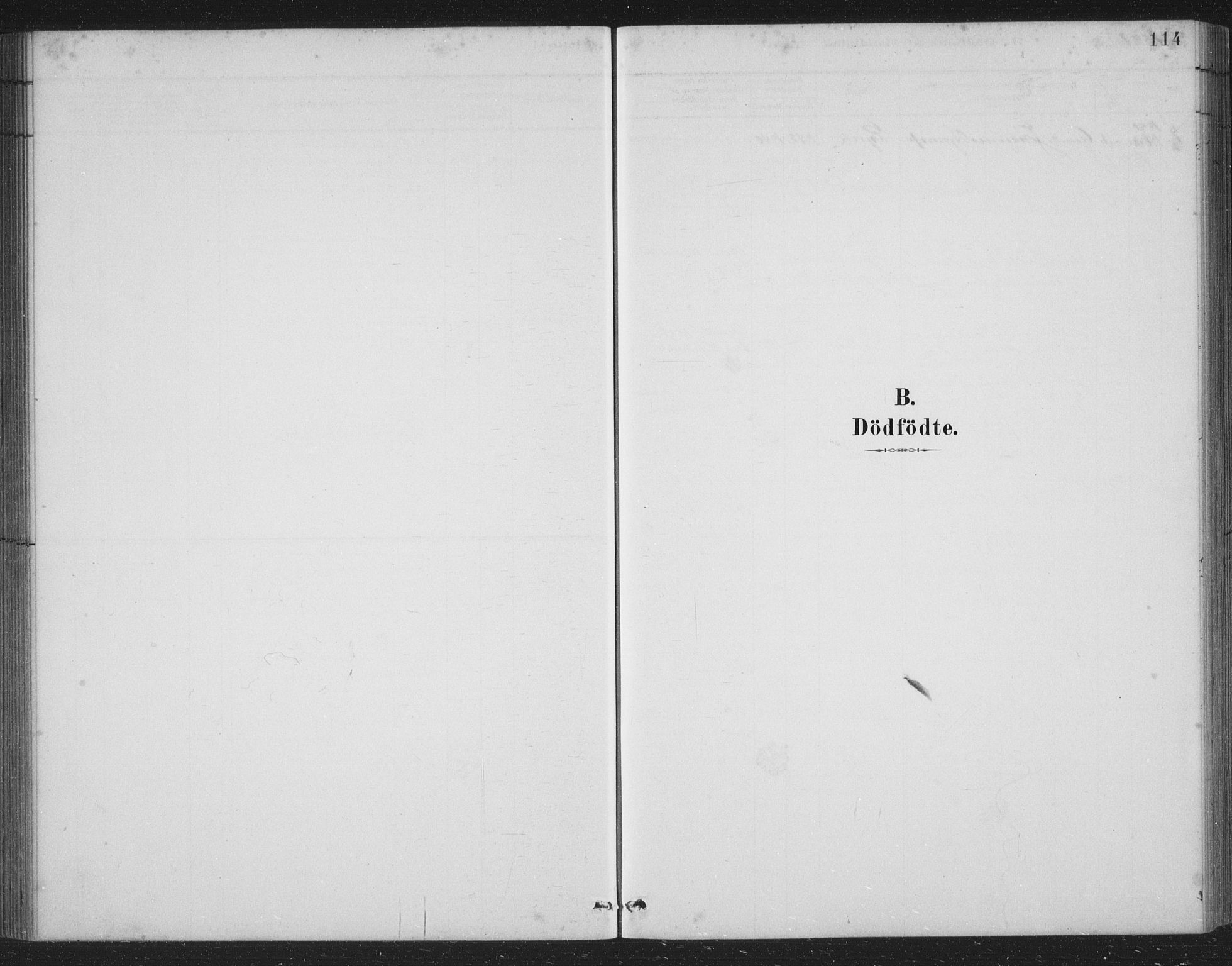 Skånevik sokneprestembete, SAB/A-77801/H/Hab: Parish register (copy) no. B 2, 1881-1920, p. 114