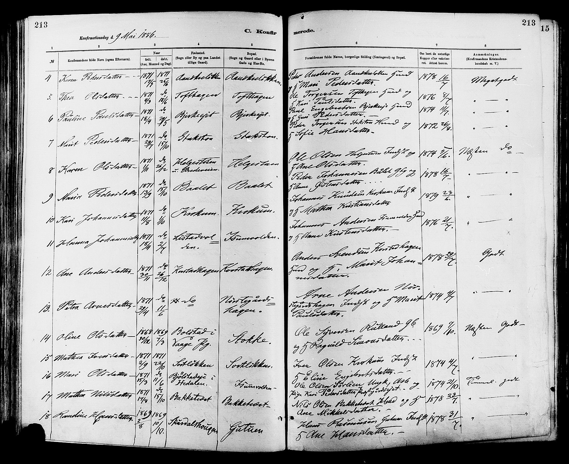 Sør-Fron prestekontor, SAH/PREST-010/H/Ha/Haa/L0003: Parish register (official) no. 3, 1881-1897, p. 213