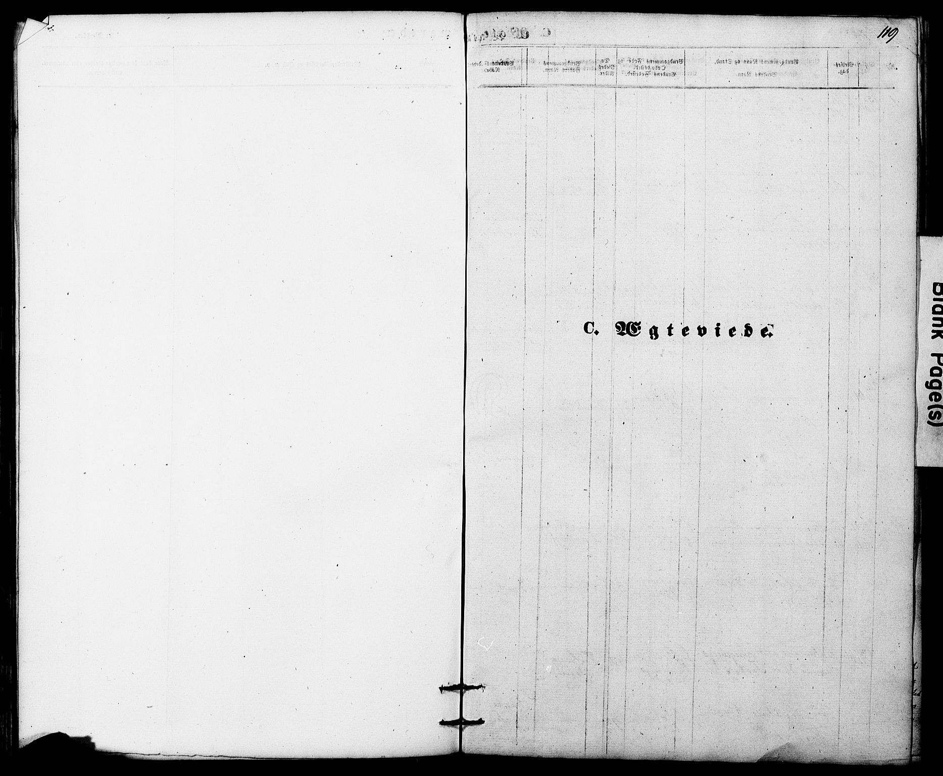 Ministerialprotokoller, klokkerbøker og fødselsregistre - Nordland, SAT/A-1459/865/L0930: Parish register (copy) no. 865C02, 1866-1884, p. 119