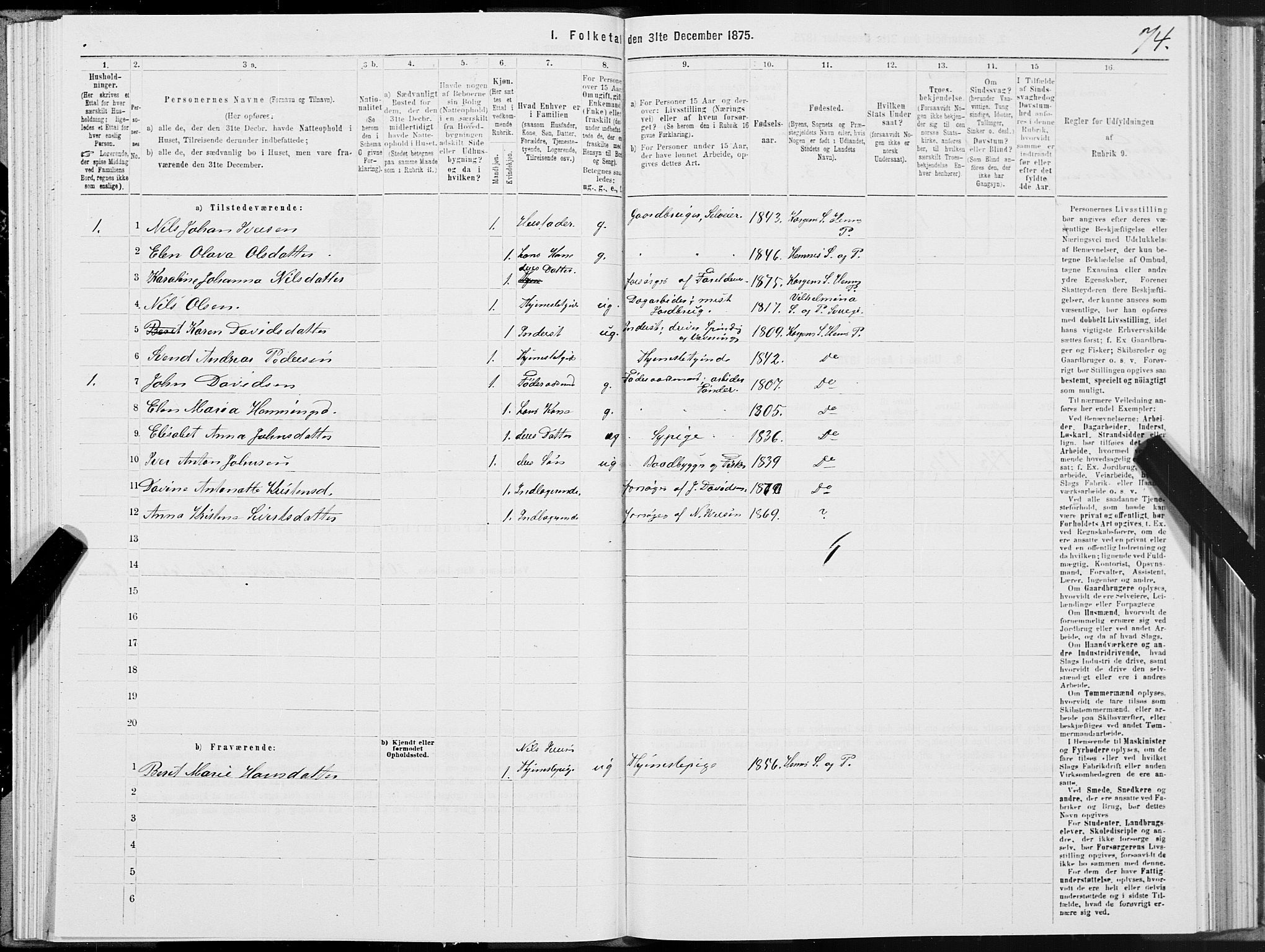 SAT, 1875 census for 1832P Hemnes, 1875, p. 4074