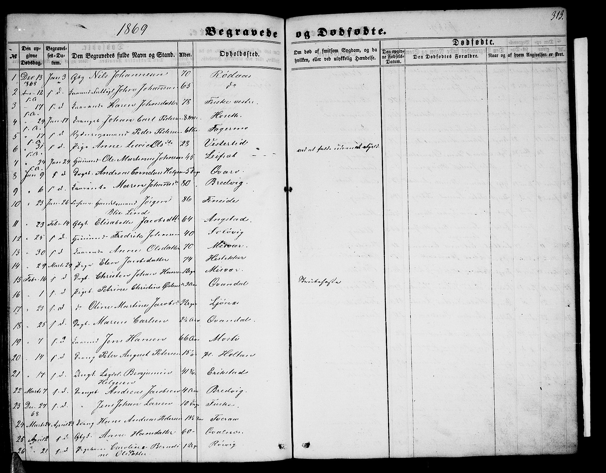 Ministerialprotokoller, klokkerbøker og fødselsregistre - Nordland, AV/SAT-A-1459/852/L0753: Parish register (copy) no. 852C04, 1856-1877, p. 313