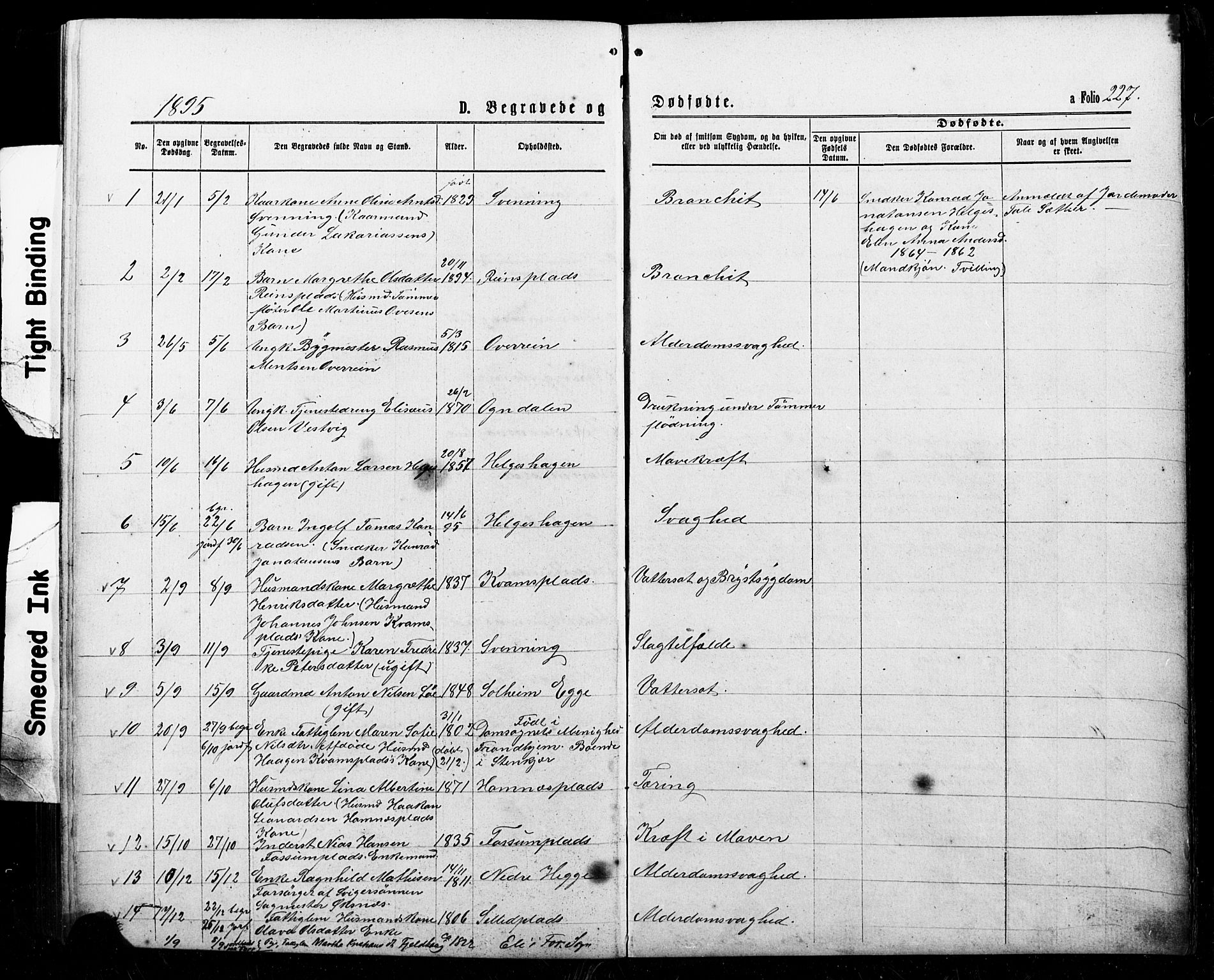 Ministerialprotokoller, klokkerbøker og fødselsregistre - Nord-Trøndelag, SAT/A-1458/740/L0380: Parish register (copy) no. 740C01, 1868-1902, p. 227