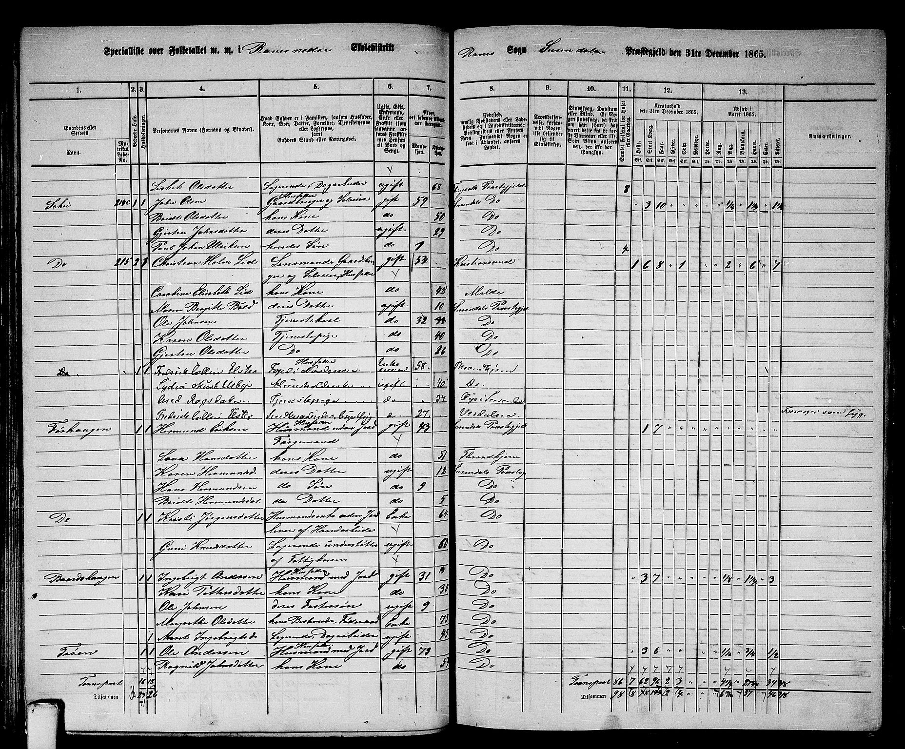 RA, 1865 census for Surnadal, 1865, p. 82