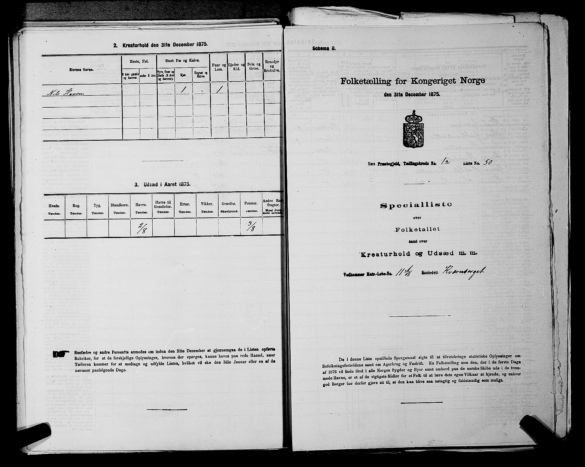 RA, 1875 census for 0236P Nes, 1875, p. 171