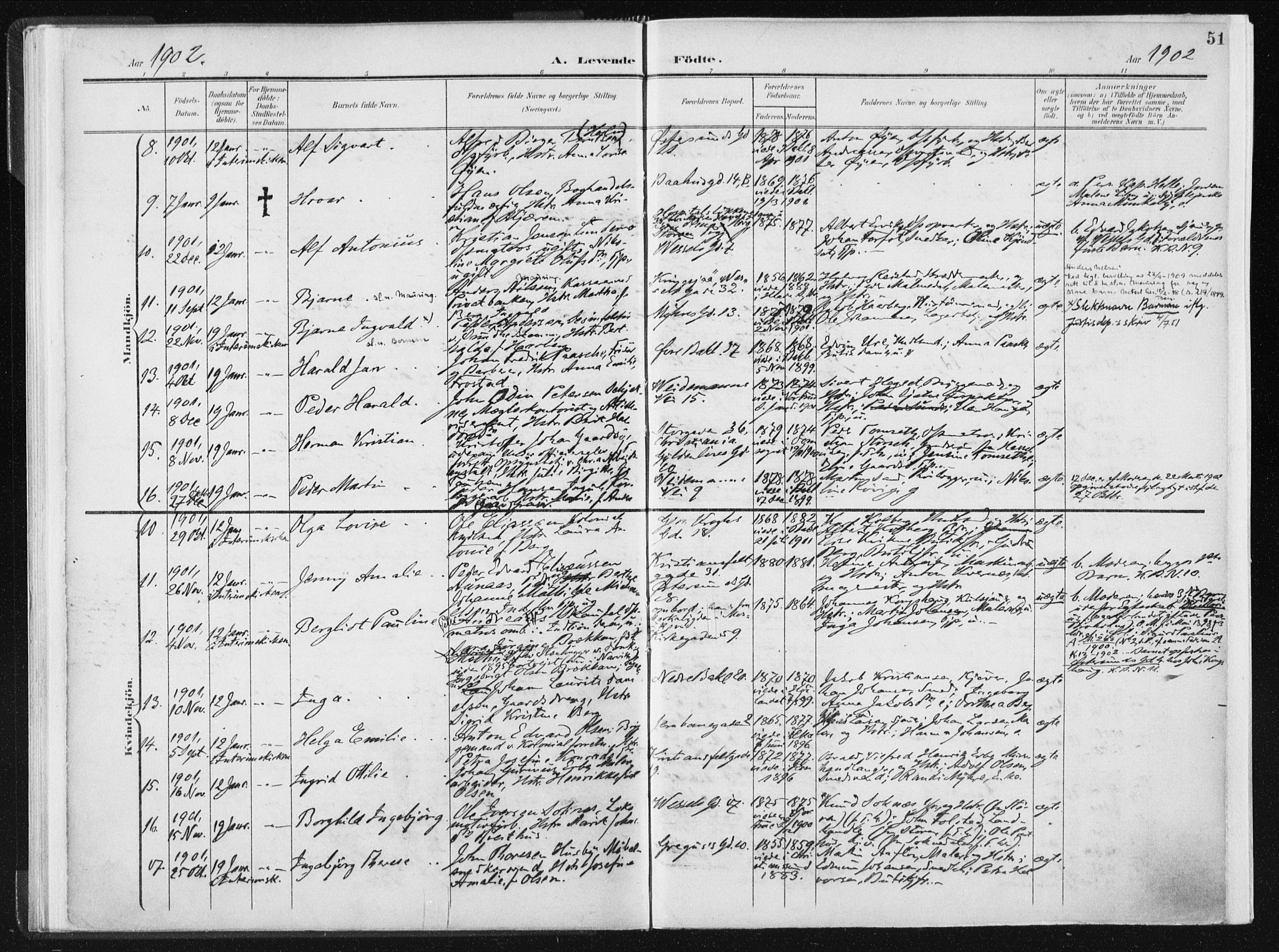 Ministerialprotokoller, klokkerbøker og fødselsregistre - Sør-Trøndelag, SAT/A-1456/604/L0199: Parish register (official) no. 604A20I, 1901-1906, p. 51