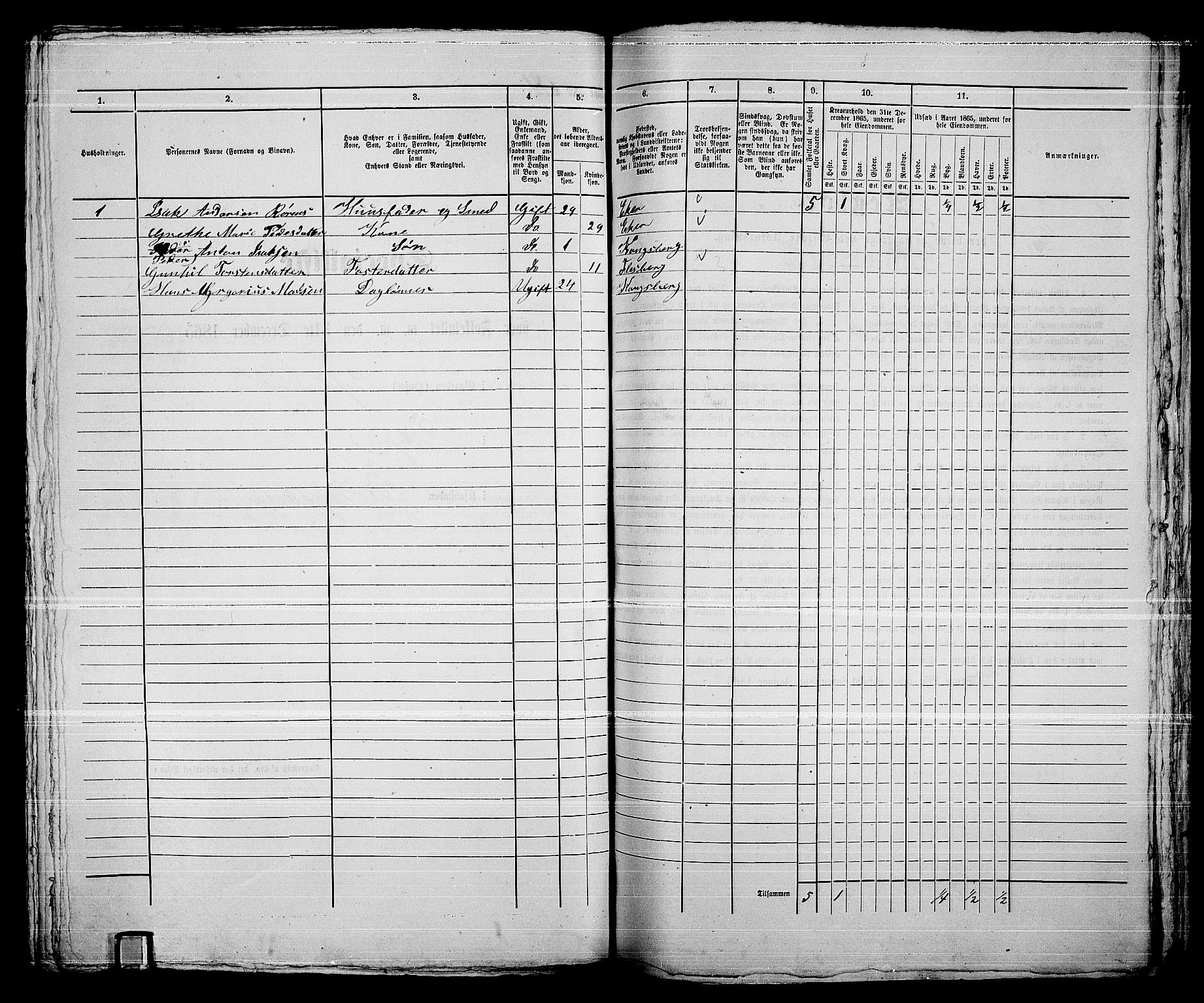 RA, 1865 census for Kongsberg/Kongsberg, 1865, p. 1393