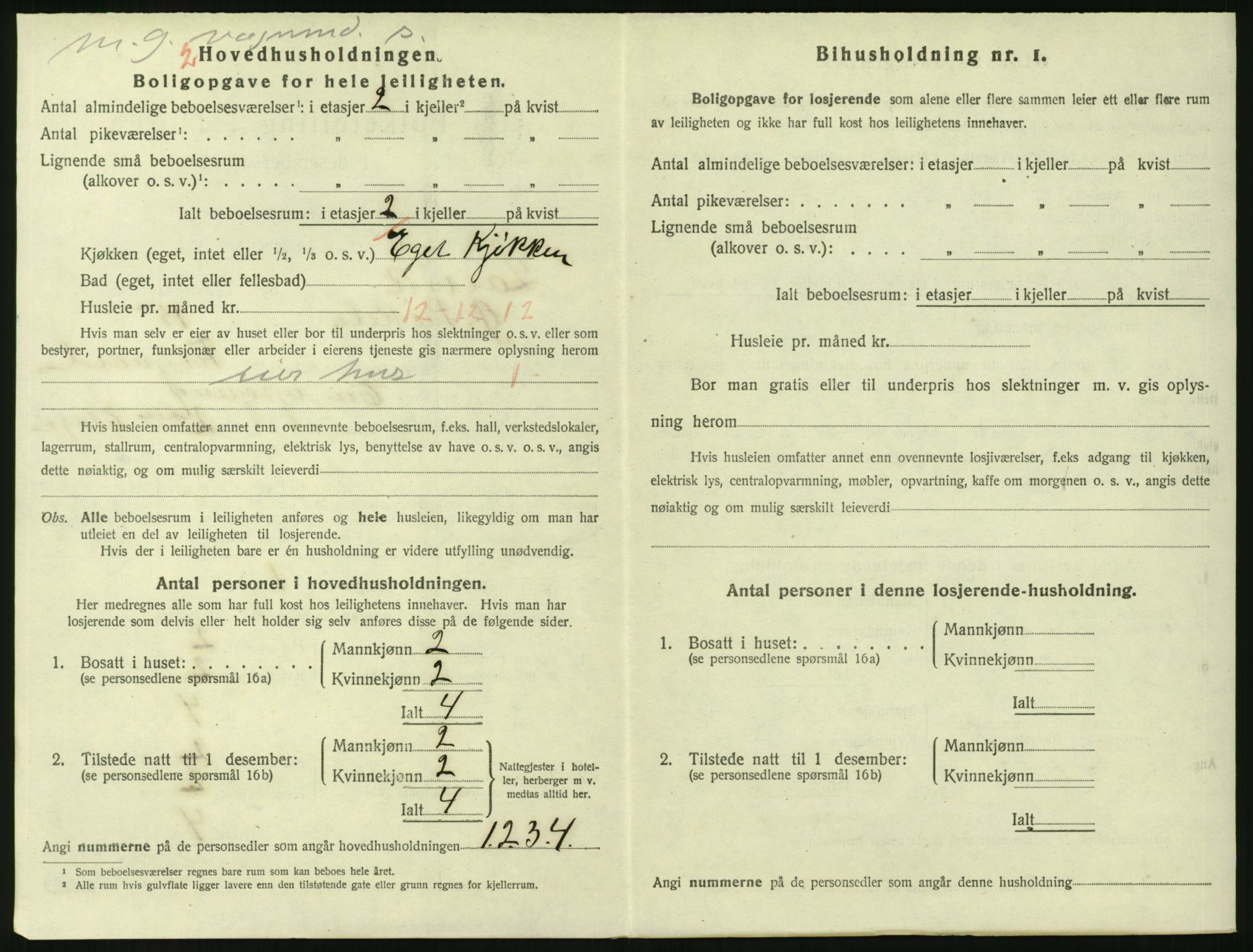 SAKO, 1920 census for Larvik, 1920, p. 4395