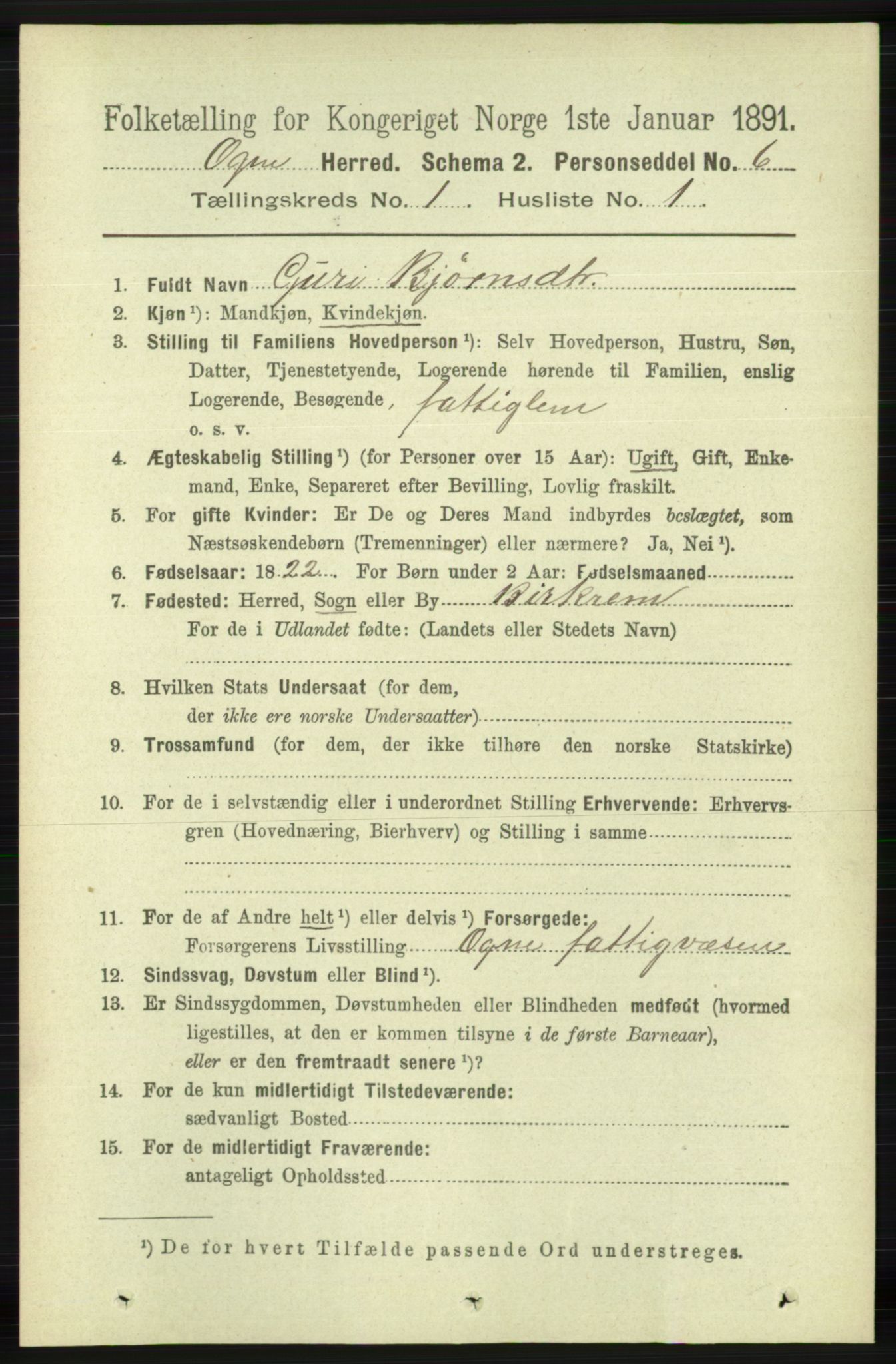 RA, 1891 census for 1117 Ogna, 1891, p. 113