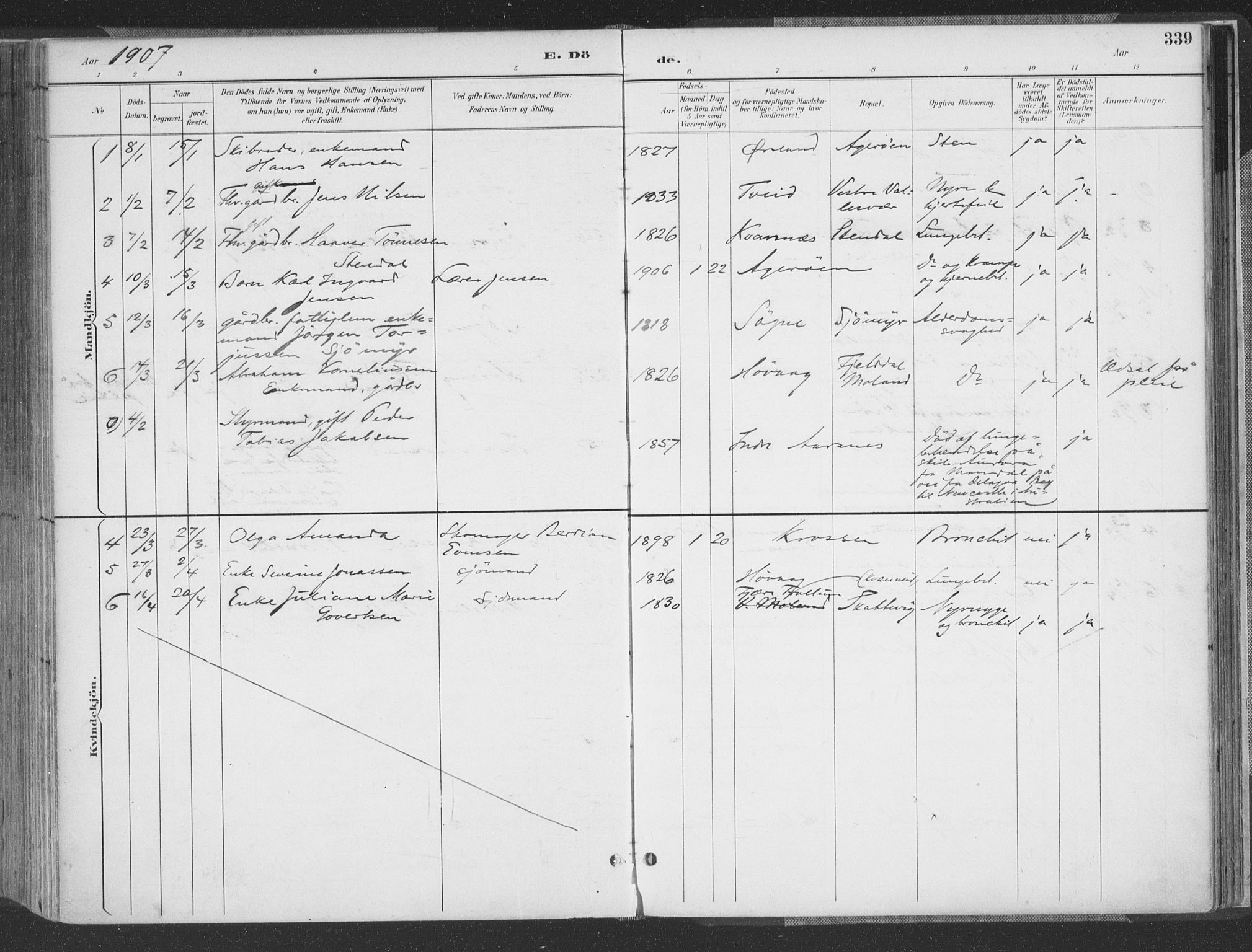 Høvåg sokneprestkontor, AV/SAK-1111-0025/F/Fa/L0006: Parish register (official) no. A 6, 1894-1923, p. 339