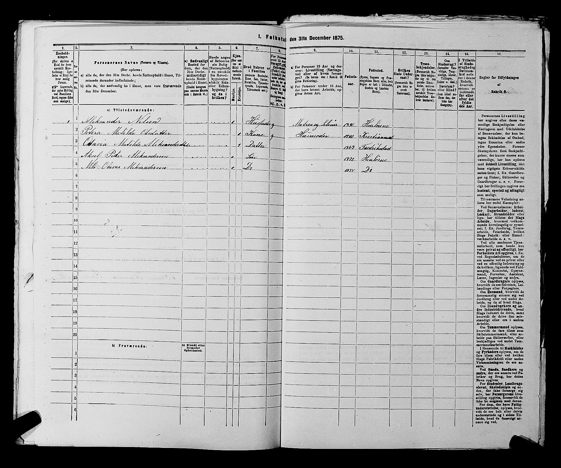 RA, 1875 census for 0111P Hvaler, 1875, p. 972