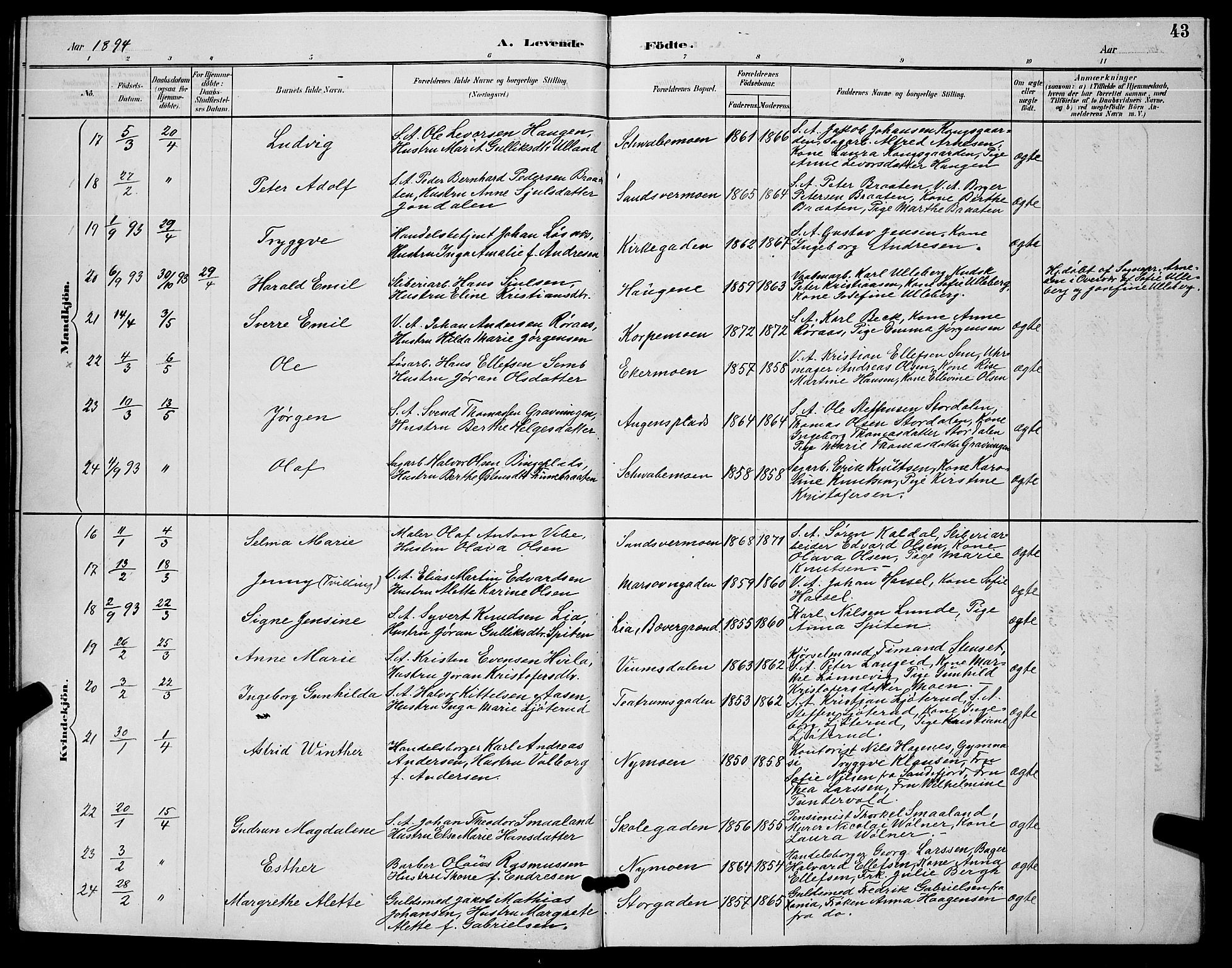 Kongsberg kirkebøker, AV/SAKO-A-22/G/Ga/L0006: Parish register (copy) no. 6, 1890-1901, p. 43