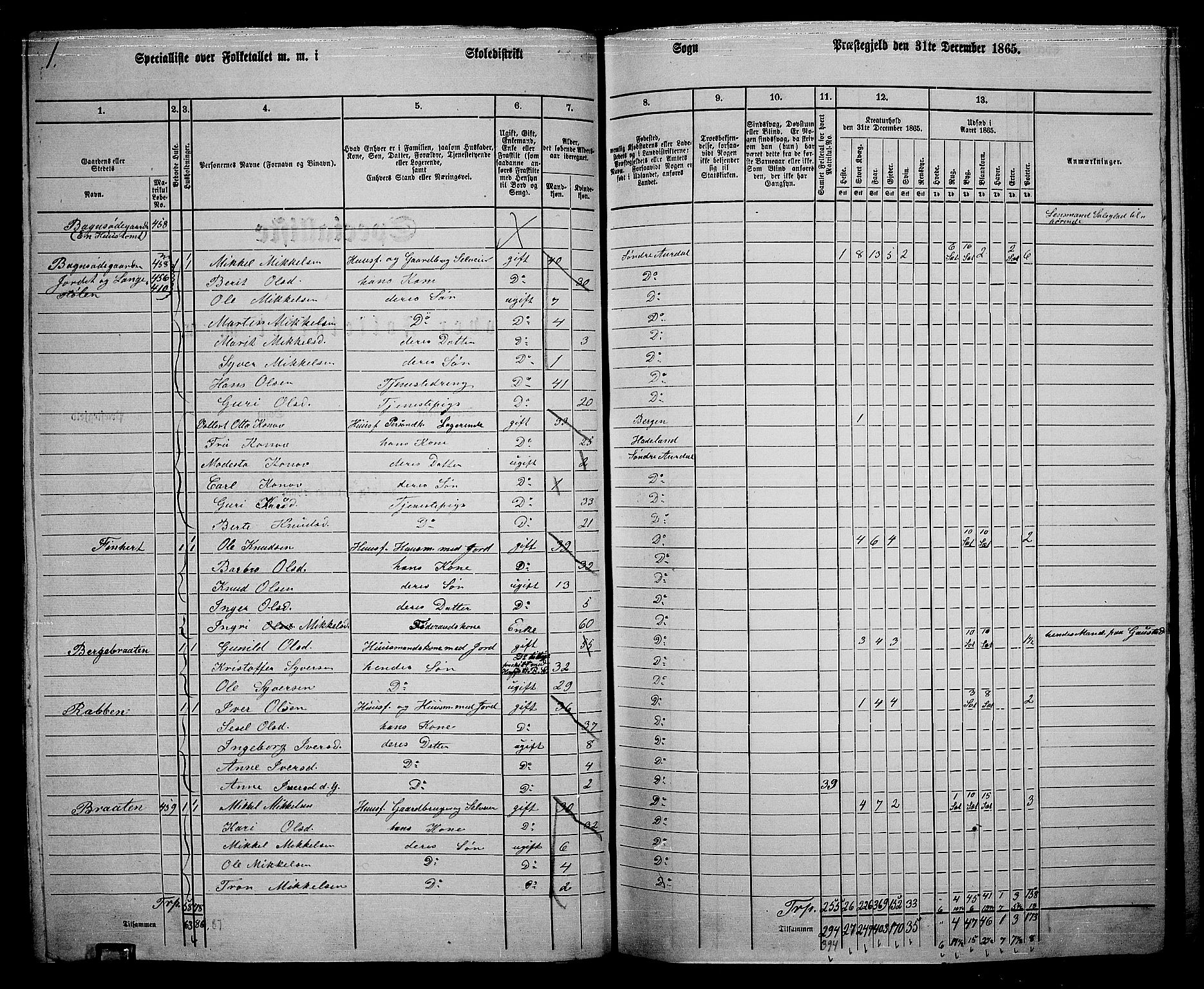 RA, 1865 census for Sør-Aurdal, 1865, p. 81