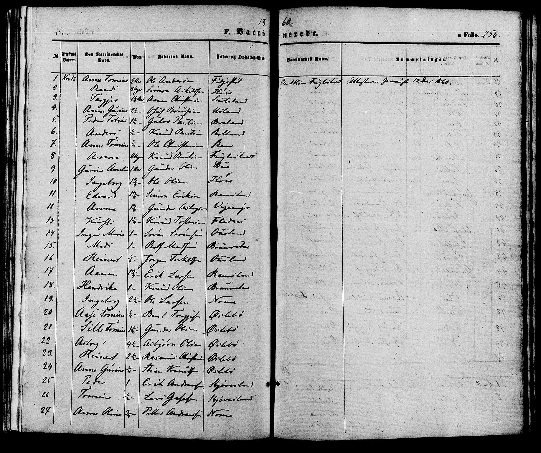 Holum sokneprestkontor, SAK/1111-0022/F/Fa/Fac/L0003: Parish register (official) no. A 3, 1860-1883, p. 256