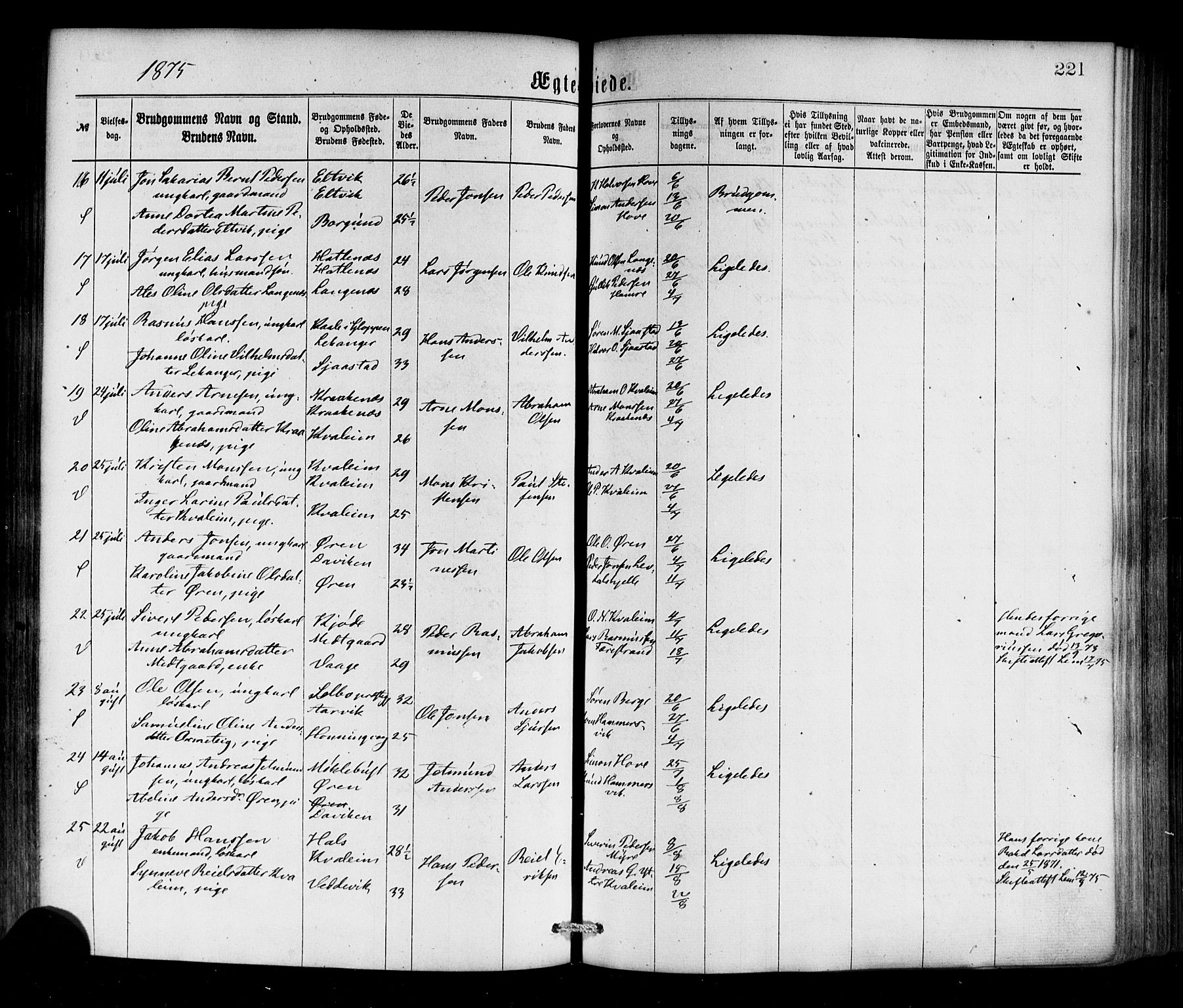 Selje sokneprestembete, SAB/A-99938/H/Ha/Haa/Haaa: Parish register (official) no. A 12, 1870-1880, p. 221