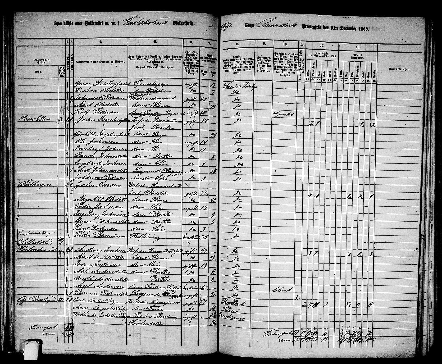 RA, 1865 census for Surnadal, 1865, p. 116