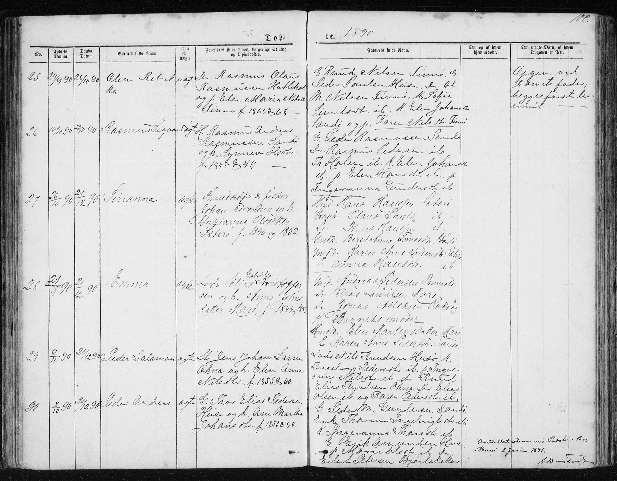 Ministerialprotokoller, klokkerbøker og fødselsregistre - Møre og Romsdal, SAT/A-1454/561/L0732: Parish register (copy) no. 561C02, 1867-1900, p. 100