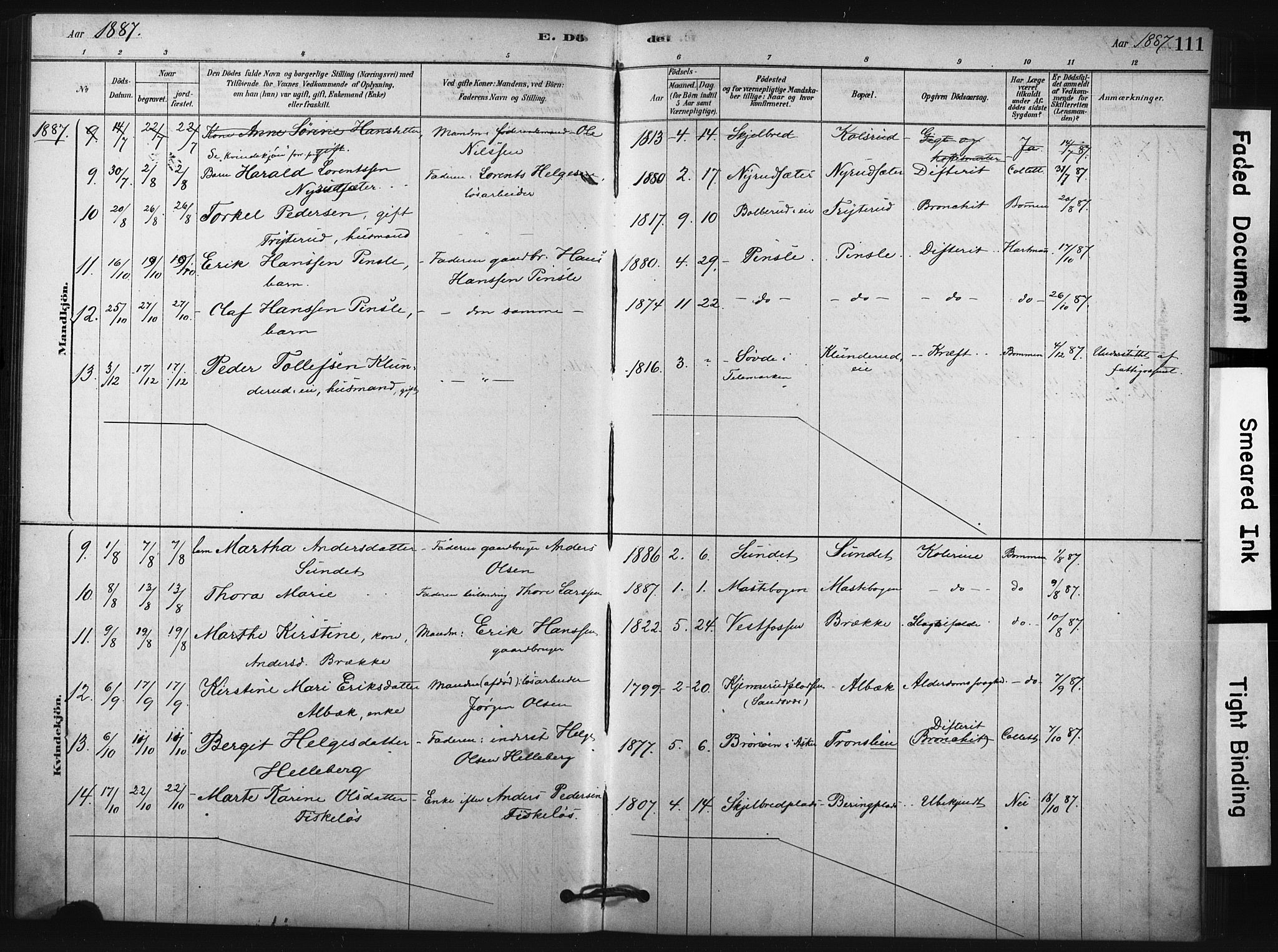 Fiskum kirkebøker, AV/SAKO-A-15/F/Fa/L0002: Parish register (official) no. 2, 1878-1890, p. 111