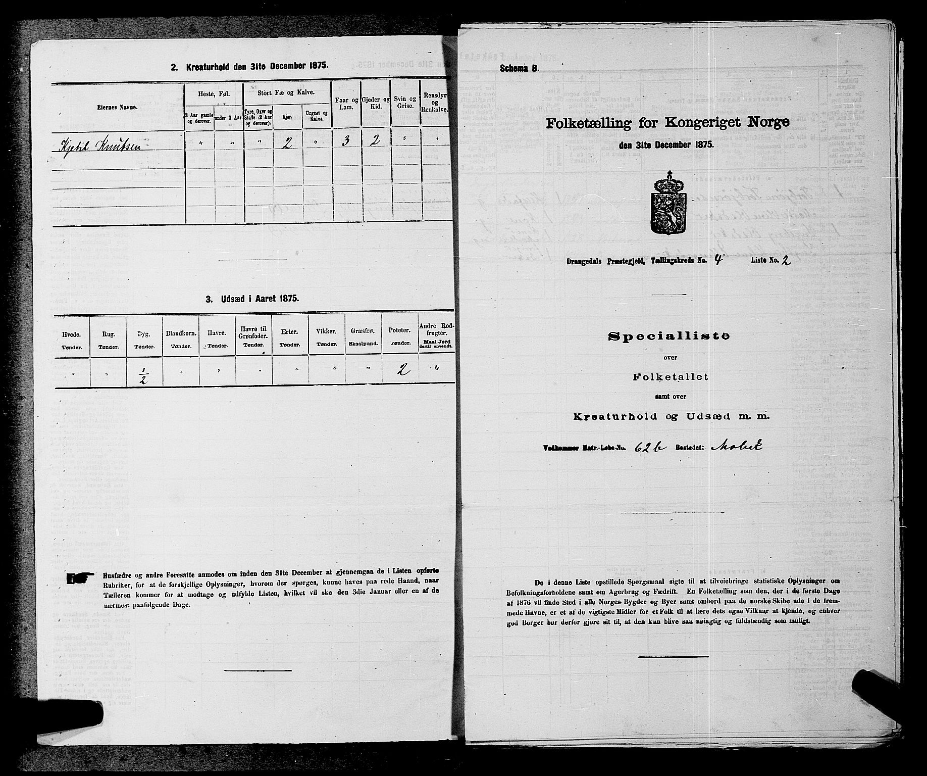 SAKO, 1875 census for 0817P Drangedal, 1875, p. 416