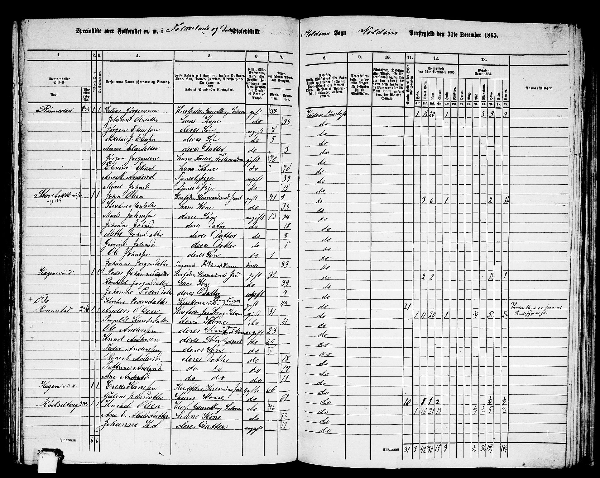 RA, 1865 census for Volda, 1865, p. 128