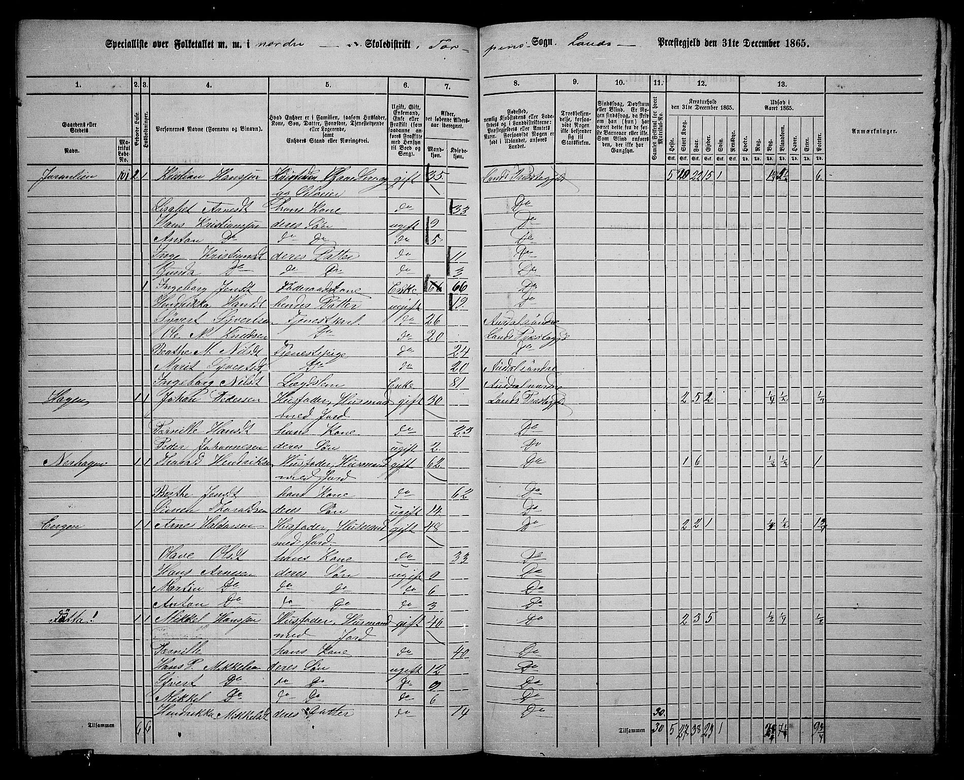 RA, 1865 census for Land, 1865, p. 173