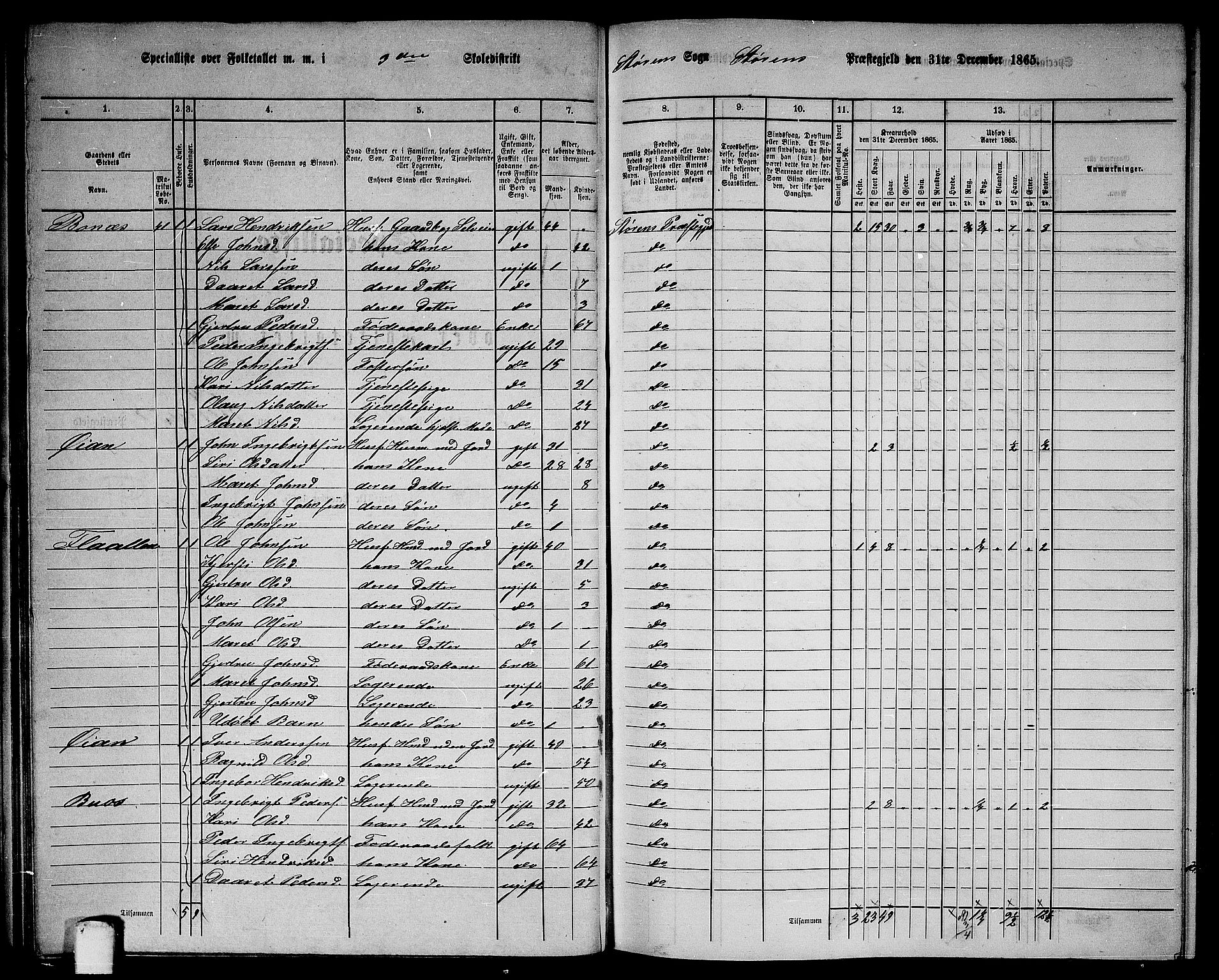 RA, 1865 census for Støren, 1865, p. 52