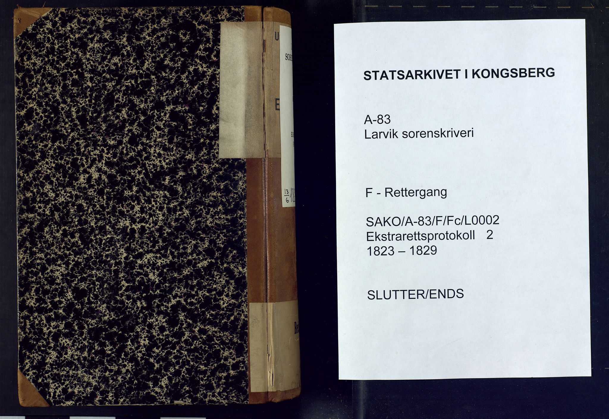 Larvik sorenskriveri, AV/SAKO-A-83/F/Fc/L0002: Ekstrarettsprotokoll, 1823-1829