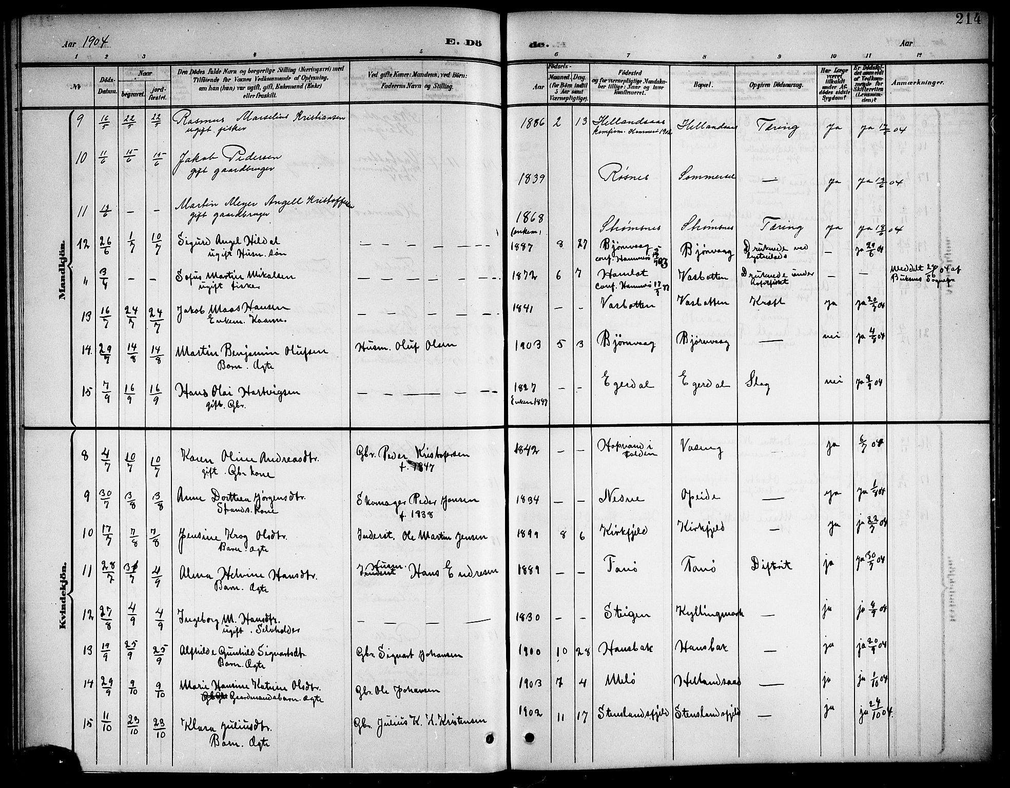 Ministerialprotokoller, klokkerbøker og fødselsregistre - Nordland, AV/SAT-A-1459/859/L0860: Parish register (copy) no. 859C06, 1899-1909, p. 214