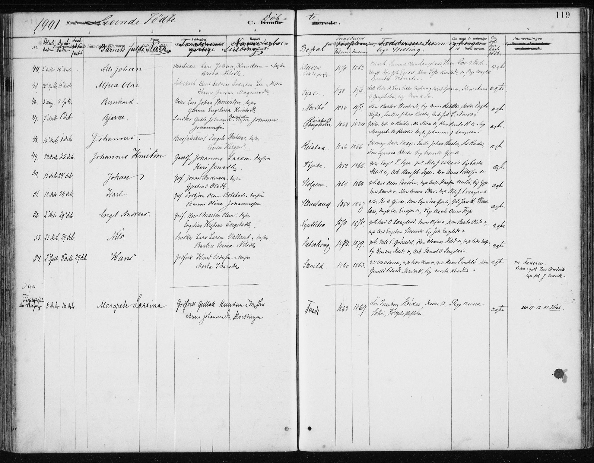 Samnanger Sokneprestembete, SAB/A-77501/H/Haa: Parish register (official) no. A 1, 1885-1901, p. 119