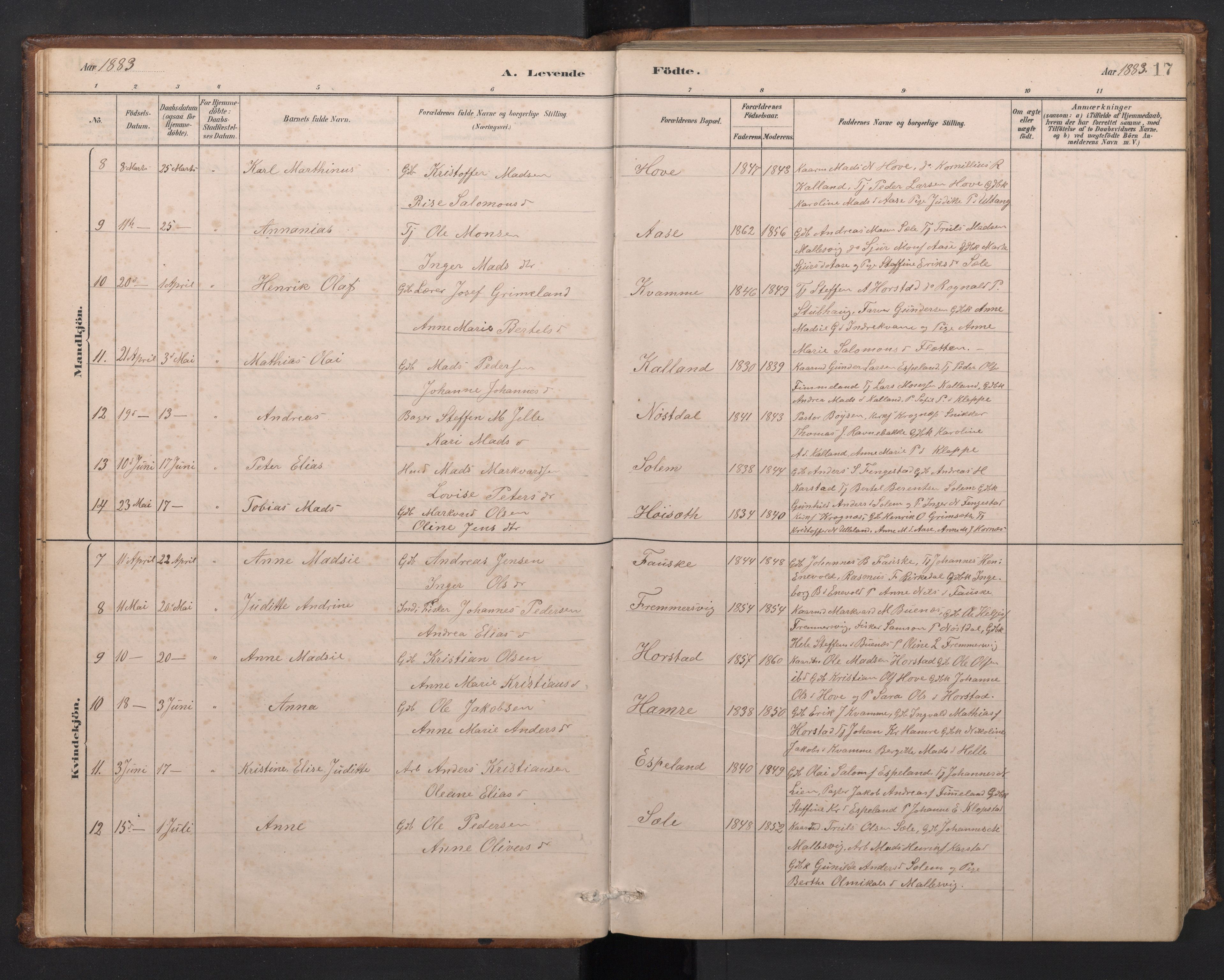 Førde sokneprestembete, SAB/A-79901/H/Hab/Habd/L0003: Parish register (copy) no. D 3, 1881-1897, p. 16b-17a