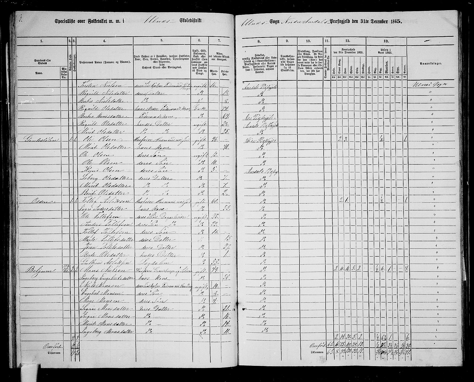 RA, 1865 census for Nord-Aurdal, 1865, p. 112